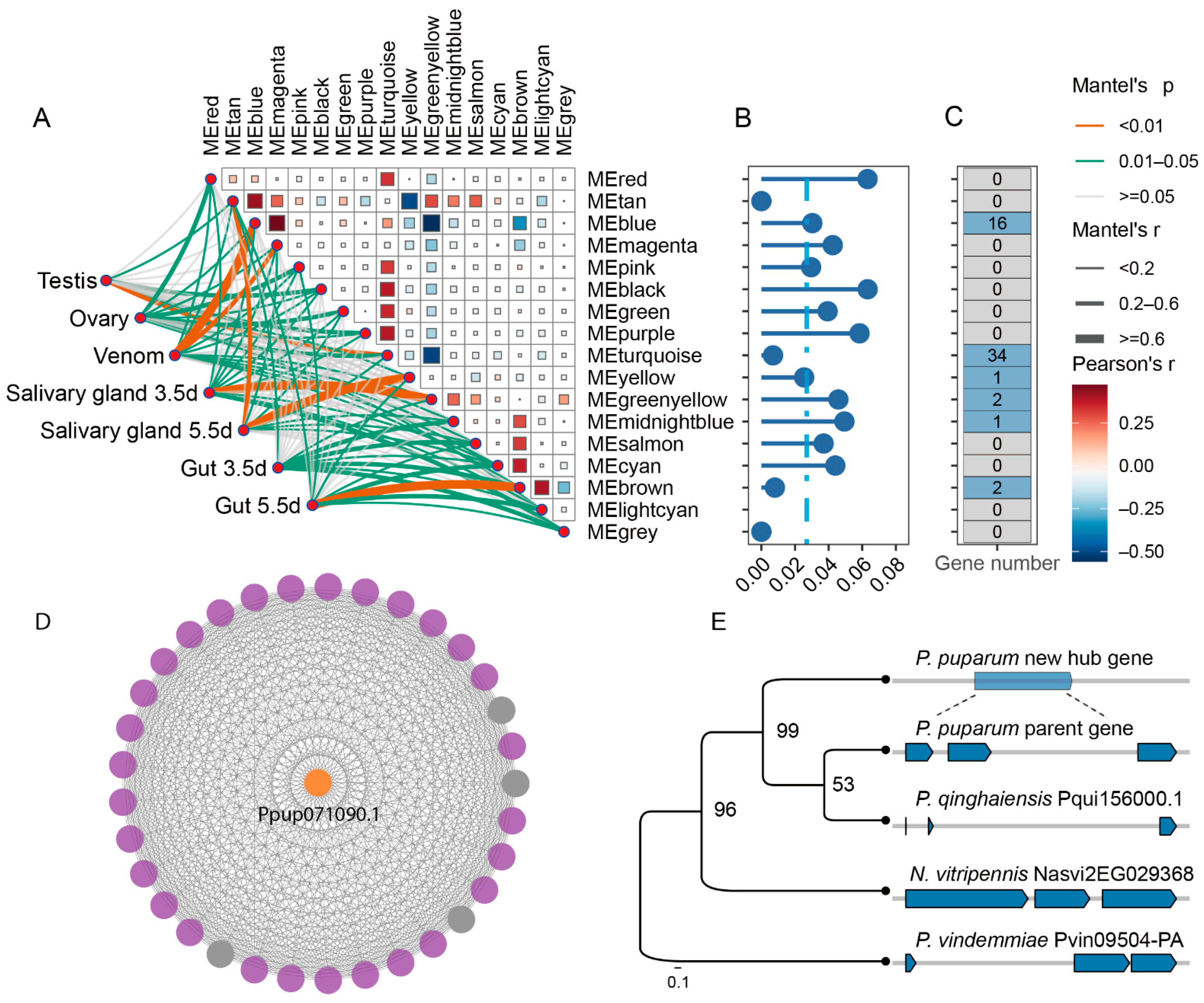 Insects 16 00502 g004