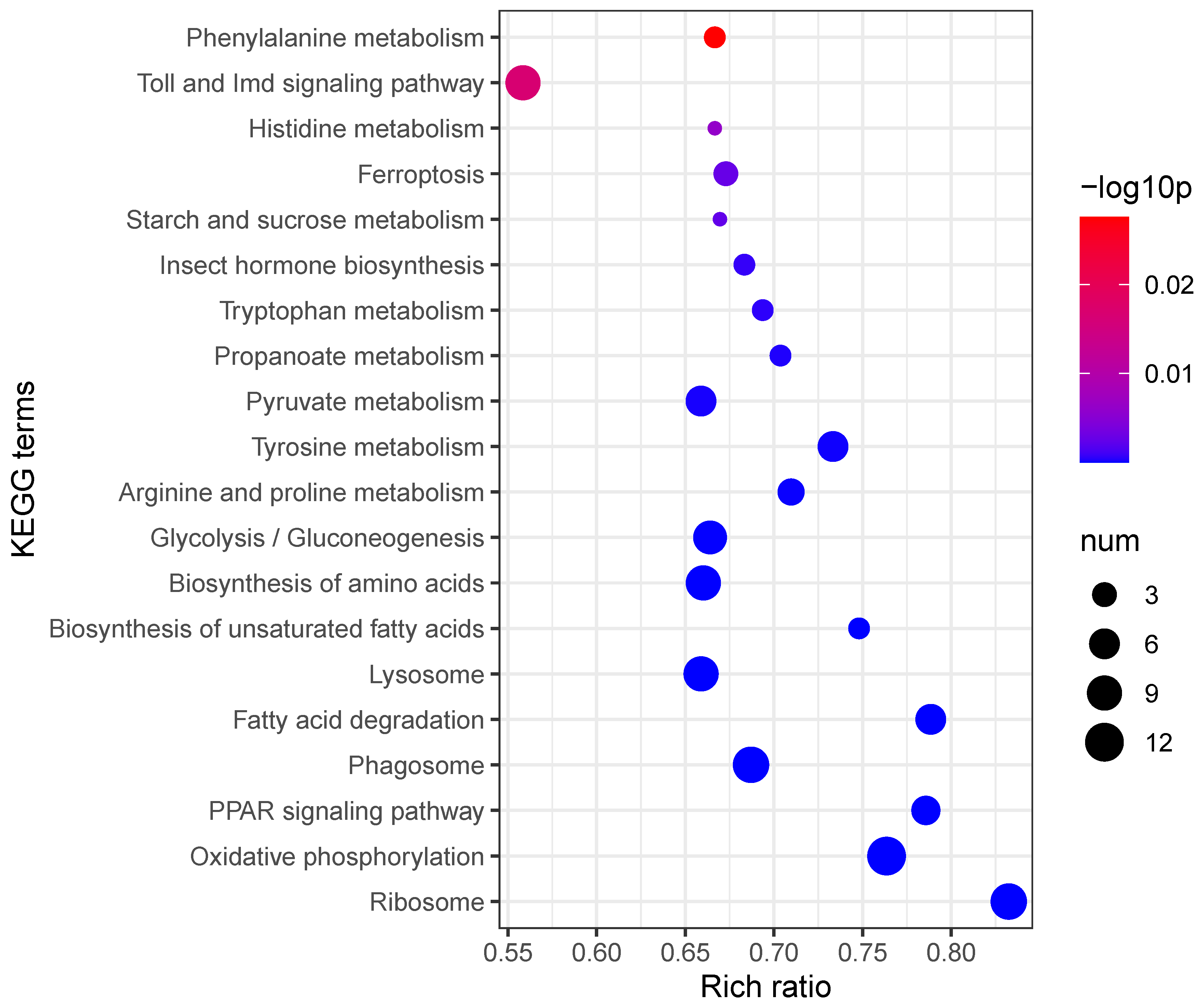 Insects 16 00503 g004 Insects 16 00503 g004
