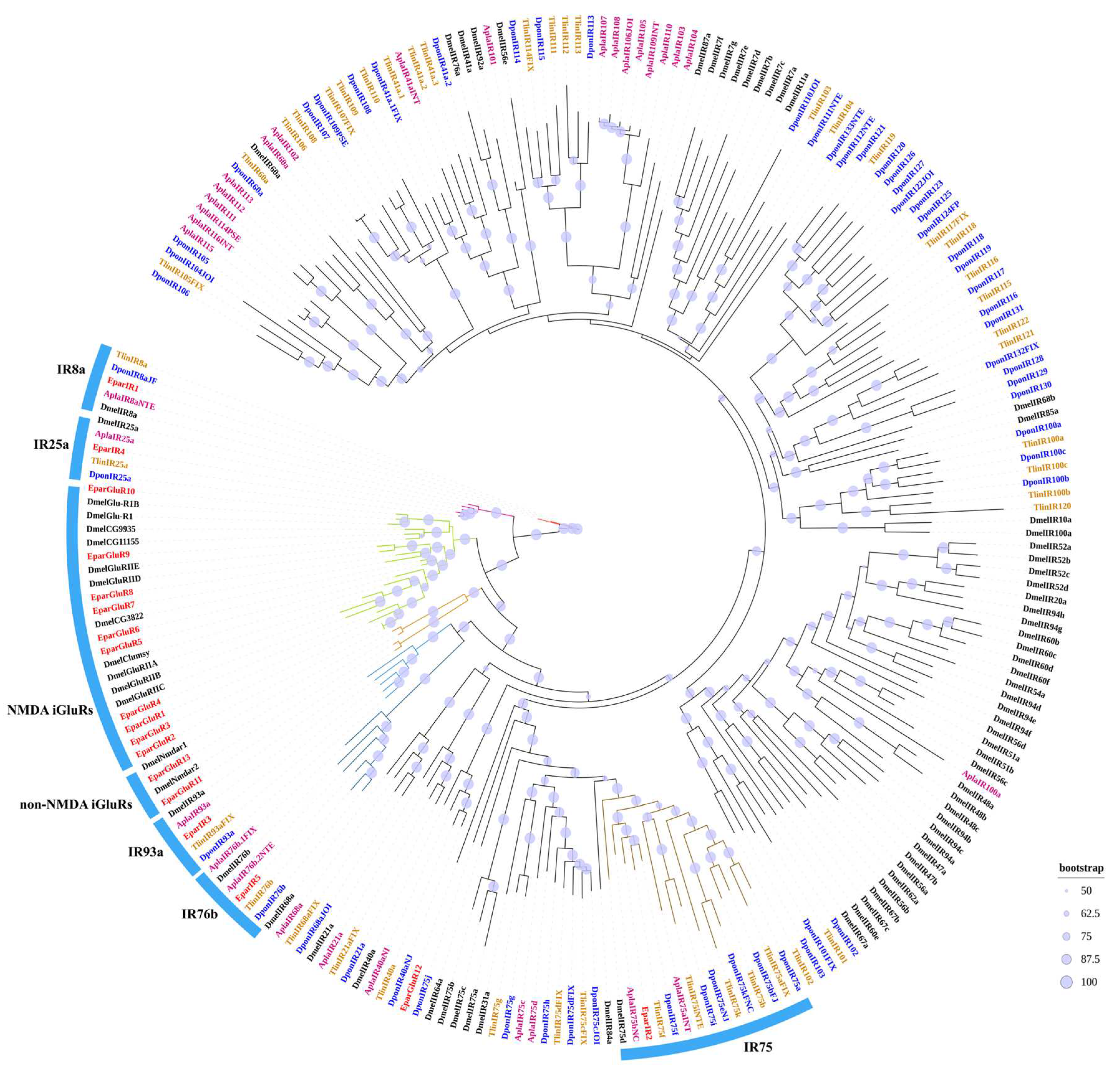 Insects 16 00504 g003