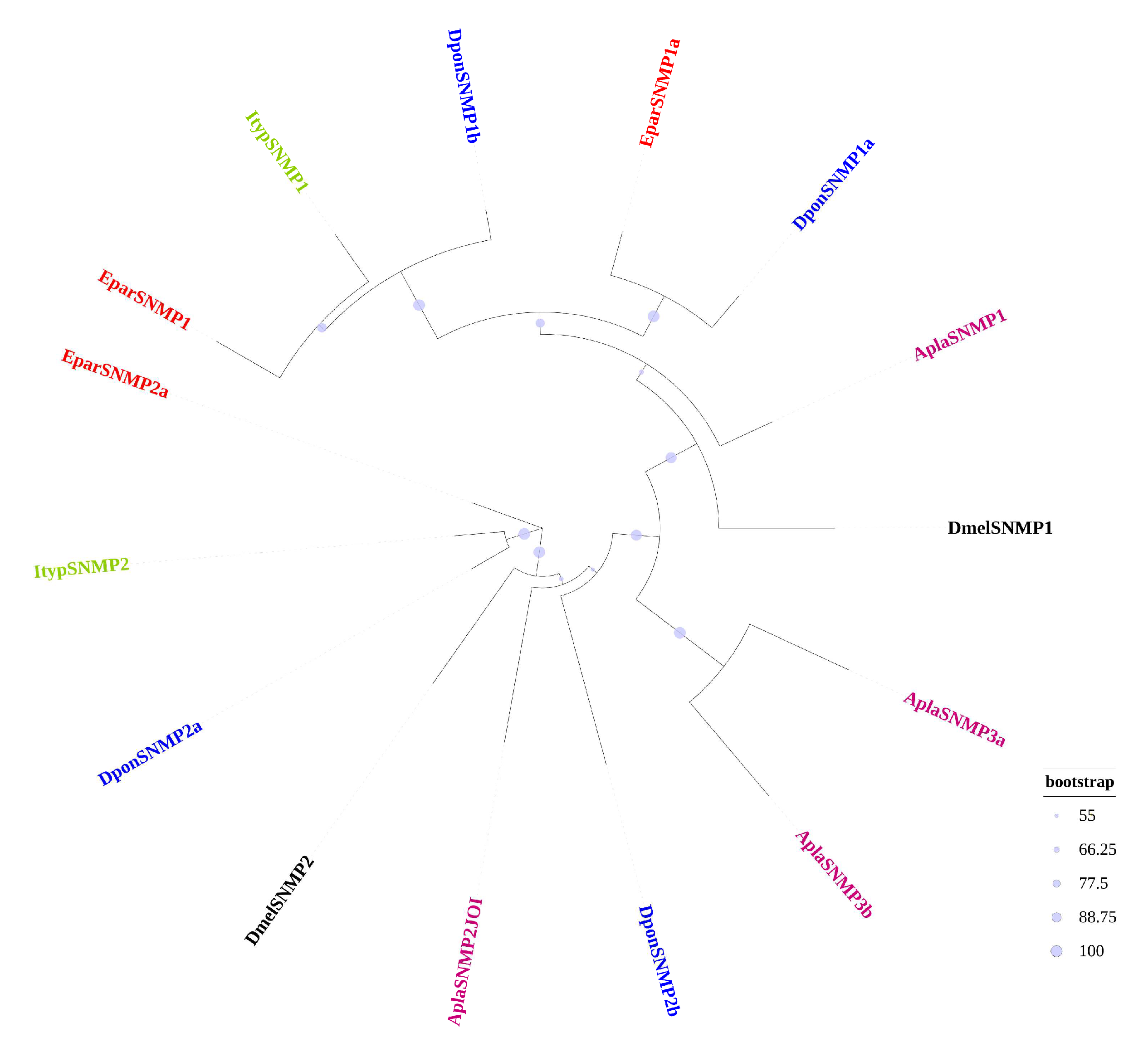Insects 16 00504 g004