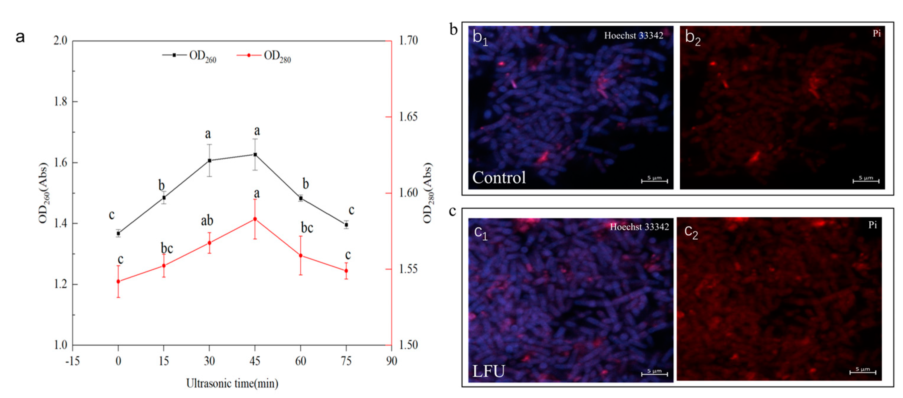 Insects 16 00507 g002