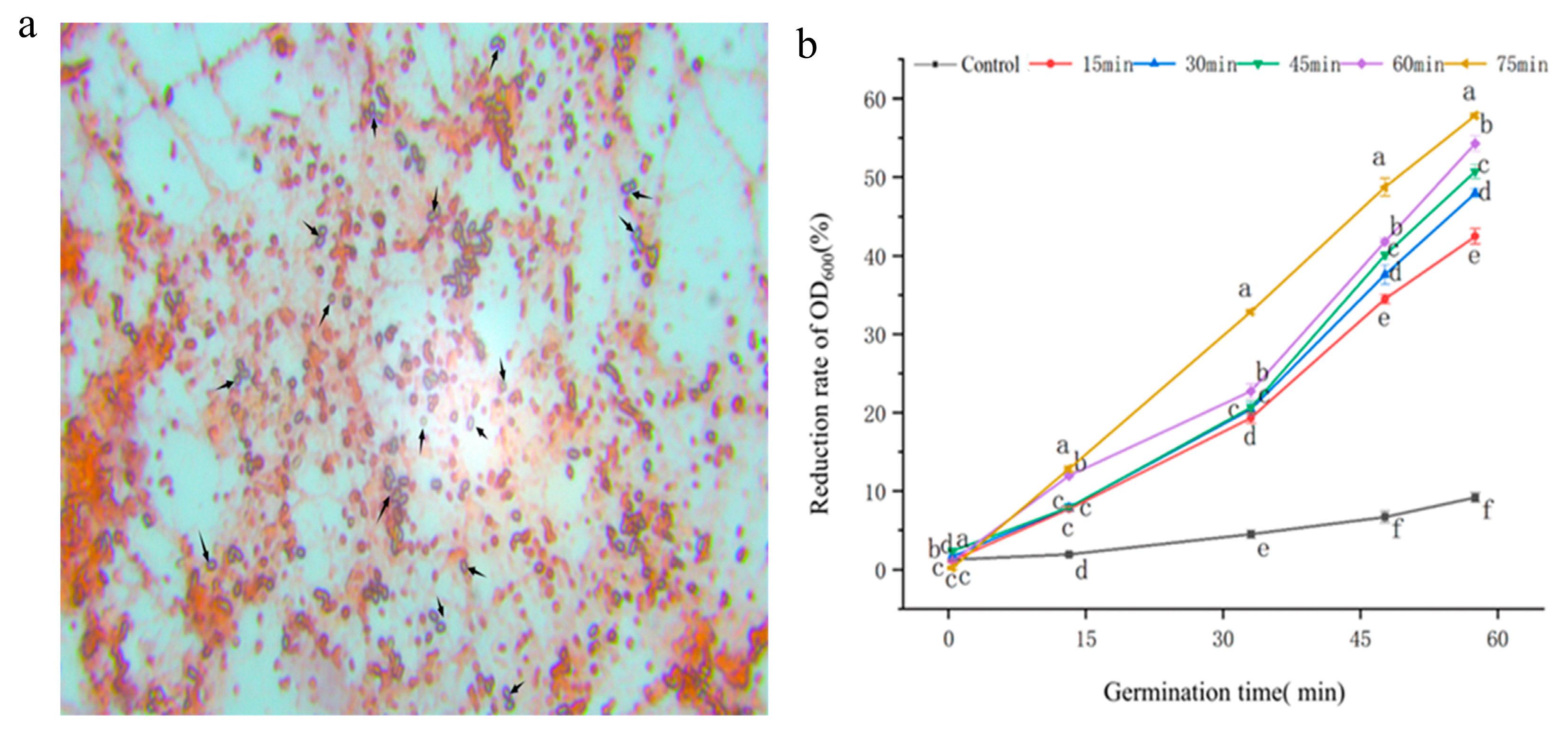 Insects 16 00507 g004