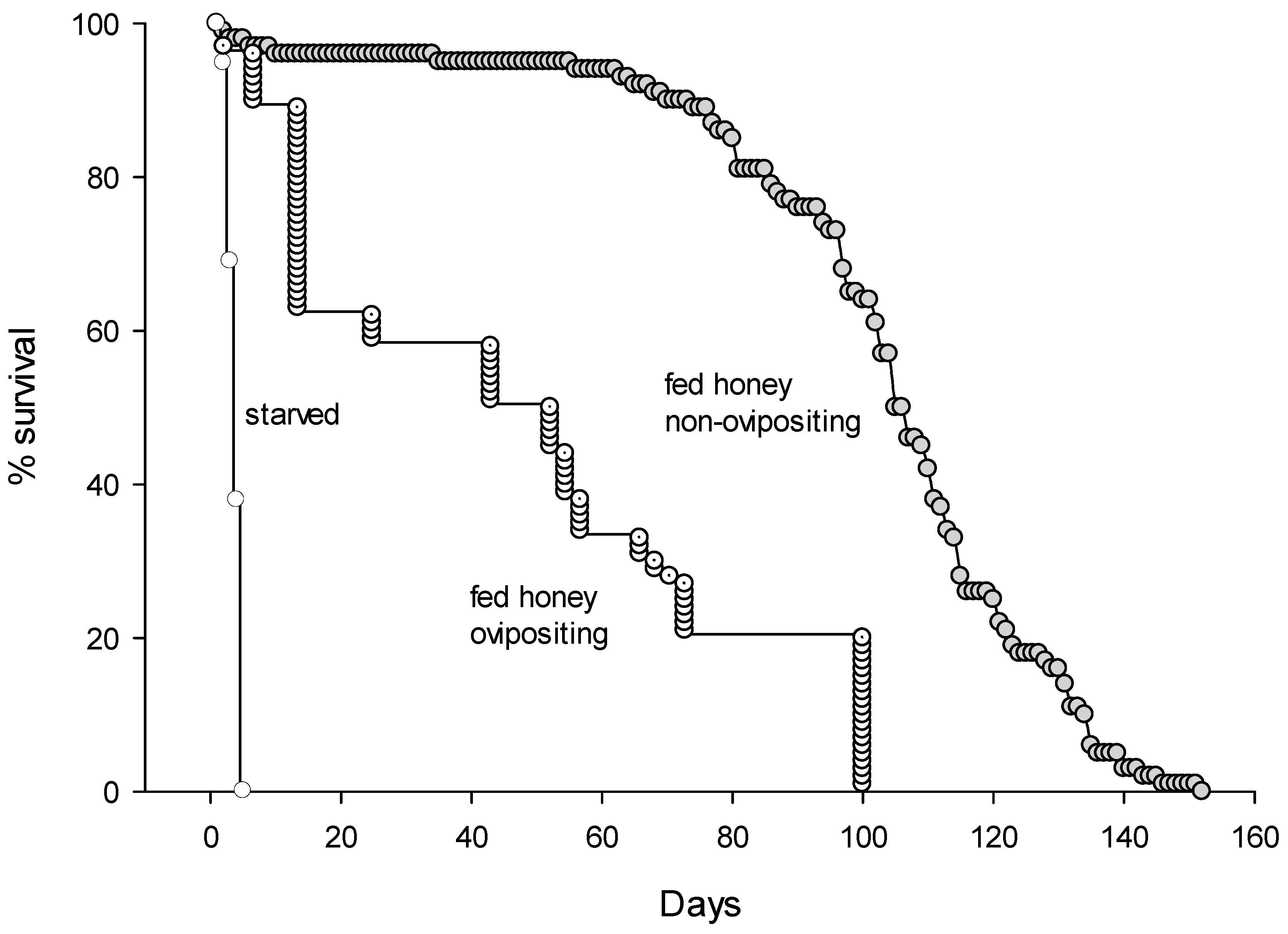 Insects 16 00519 g009