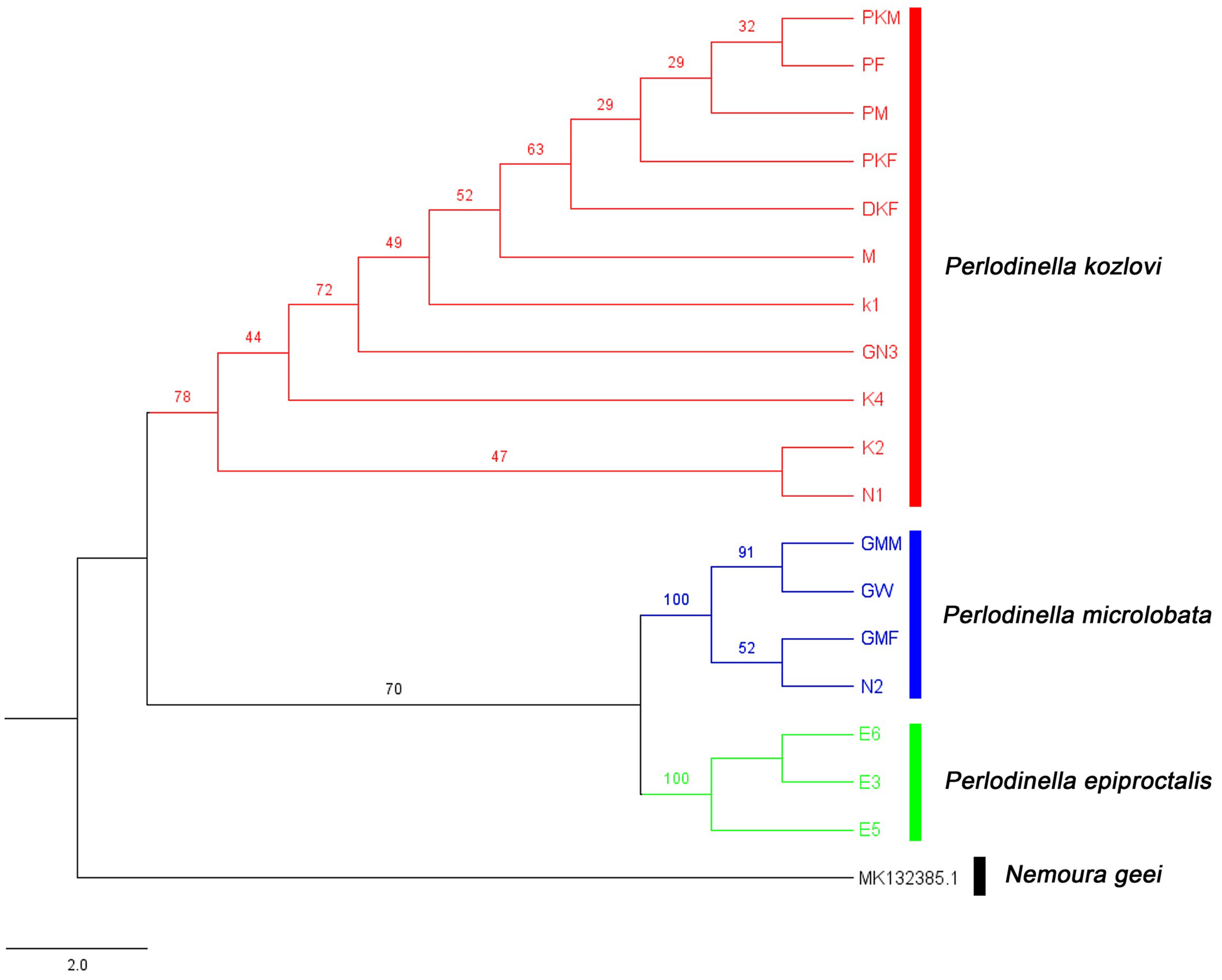 Insects 16 00520 g001