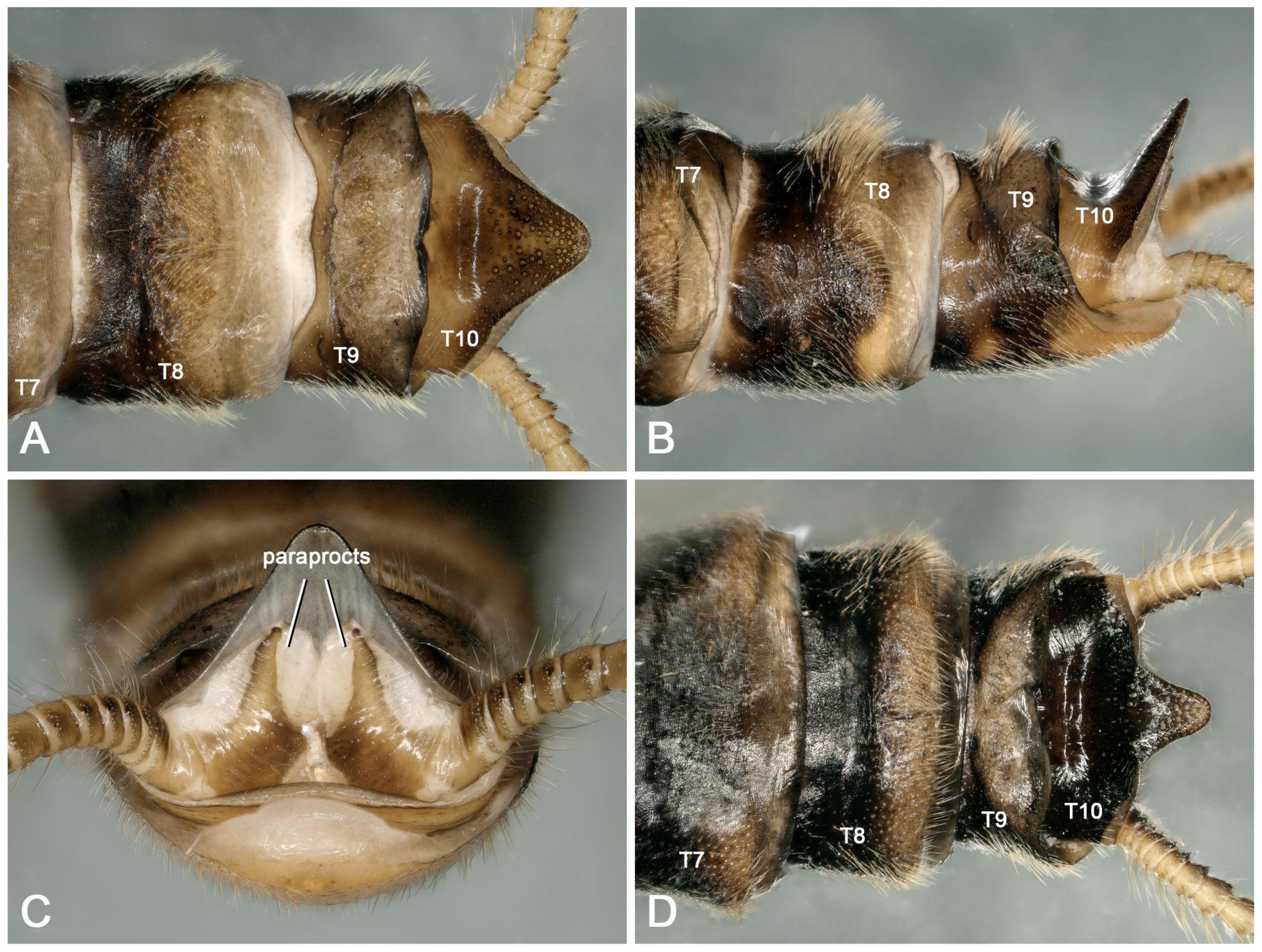 Insects 16 00520 g003