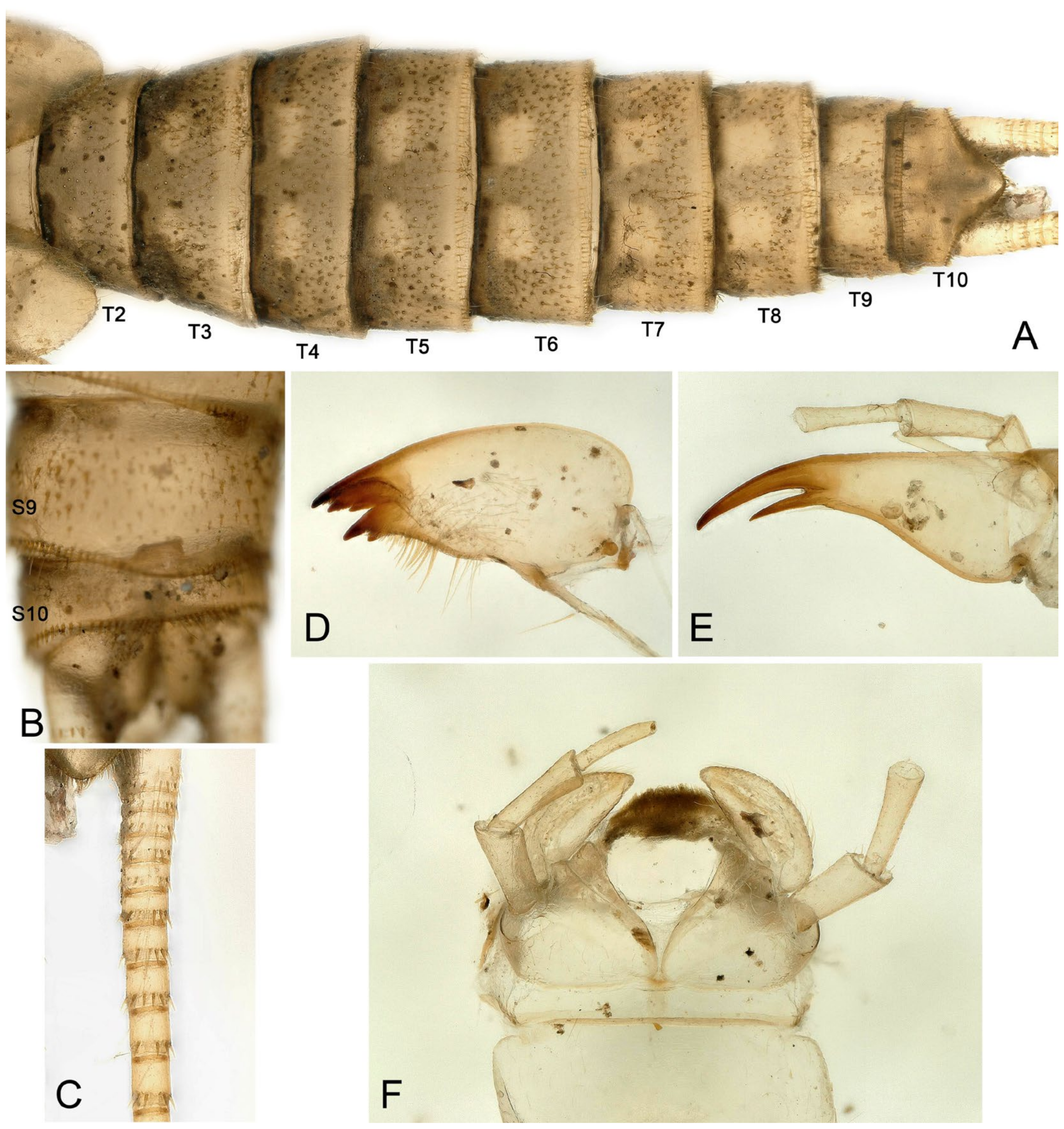 Insects 16 00520 g007