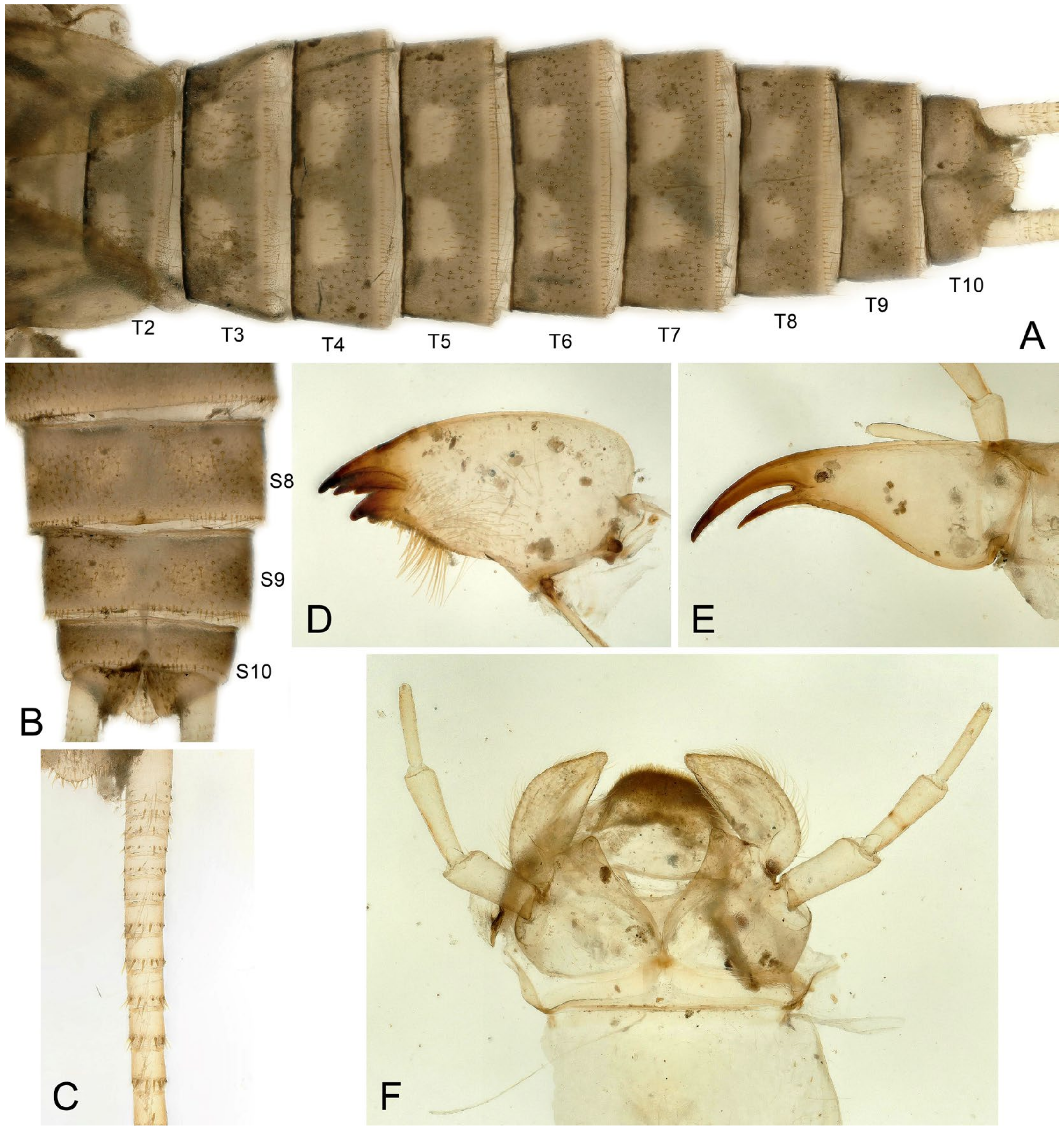 Insects 16 00520 g009