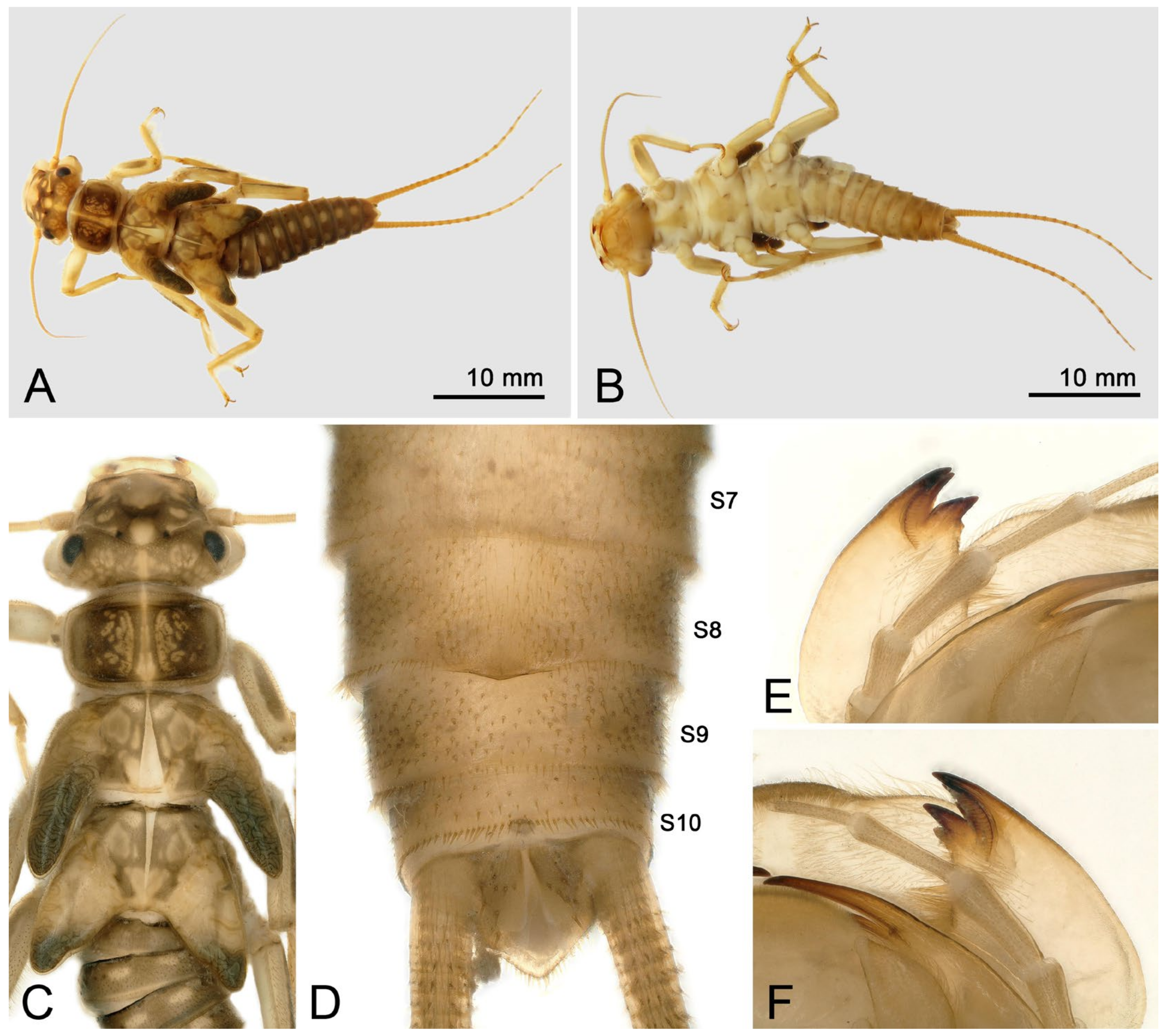 Insects 16 00520 g010