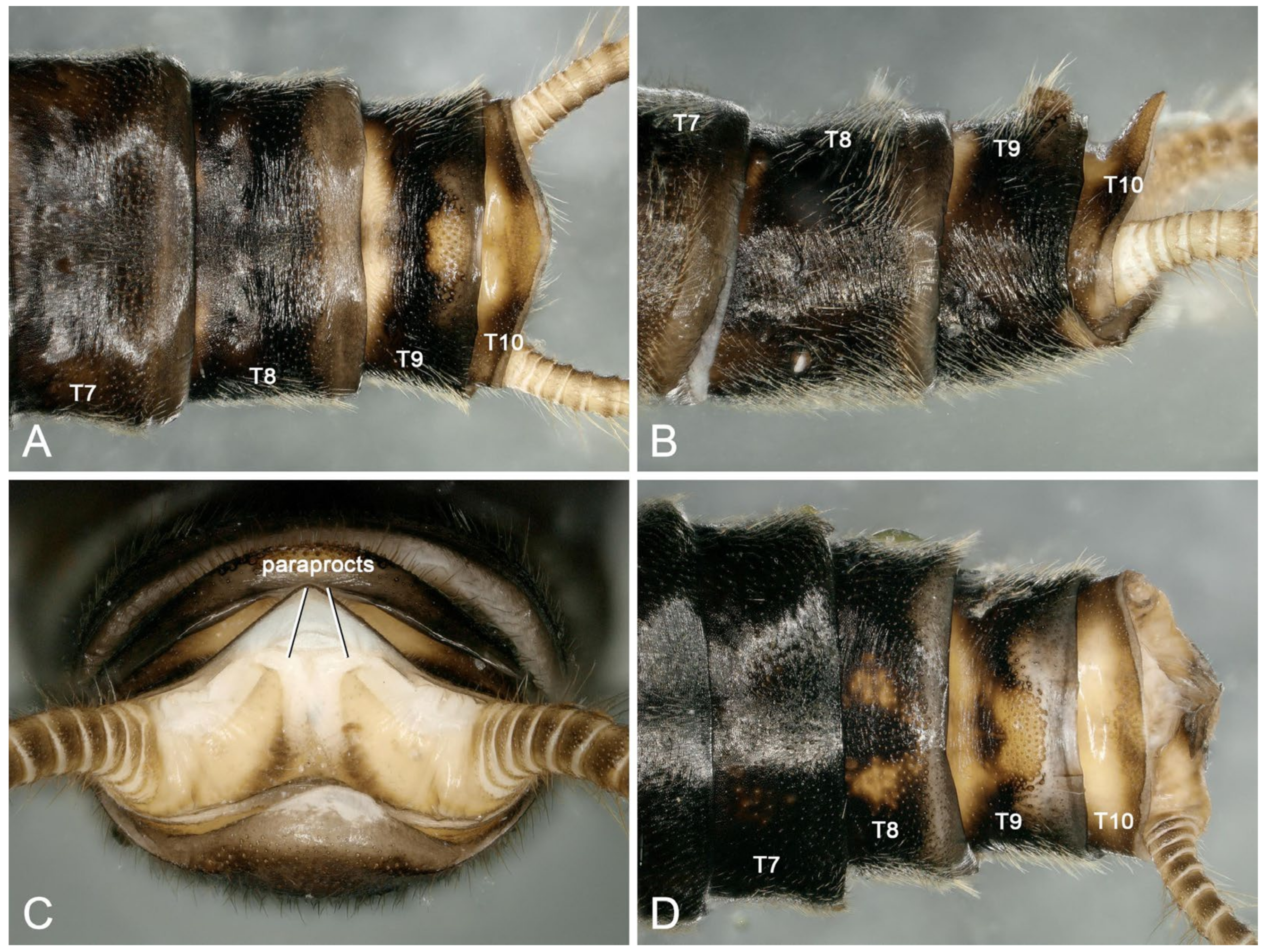 Insects 16 00520 g011