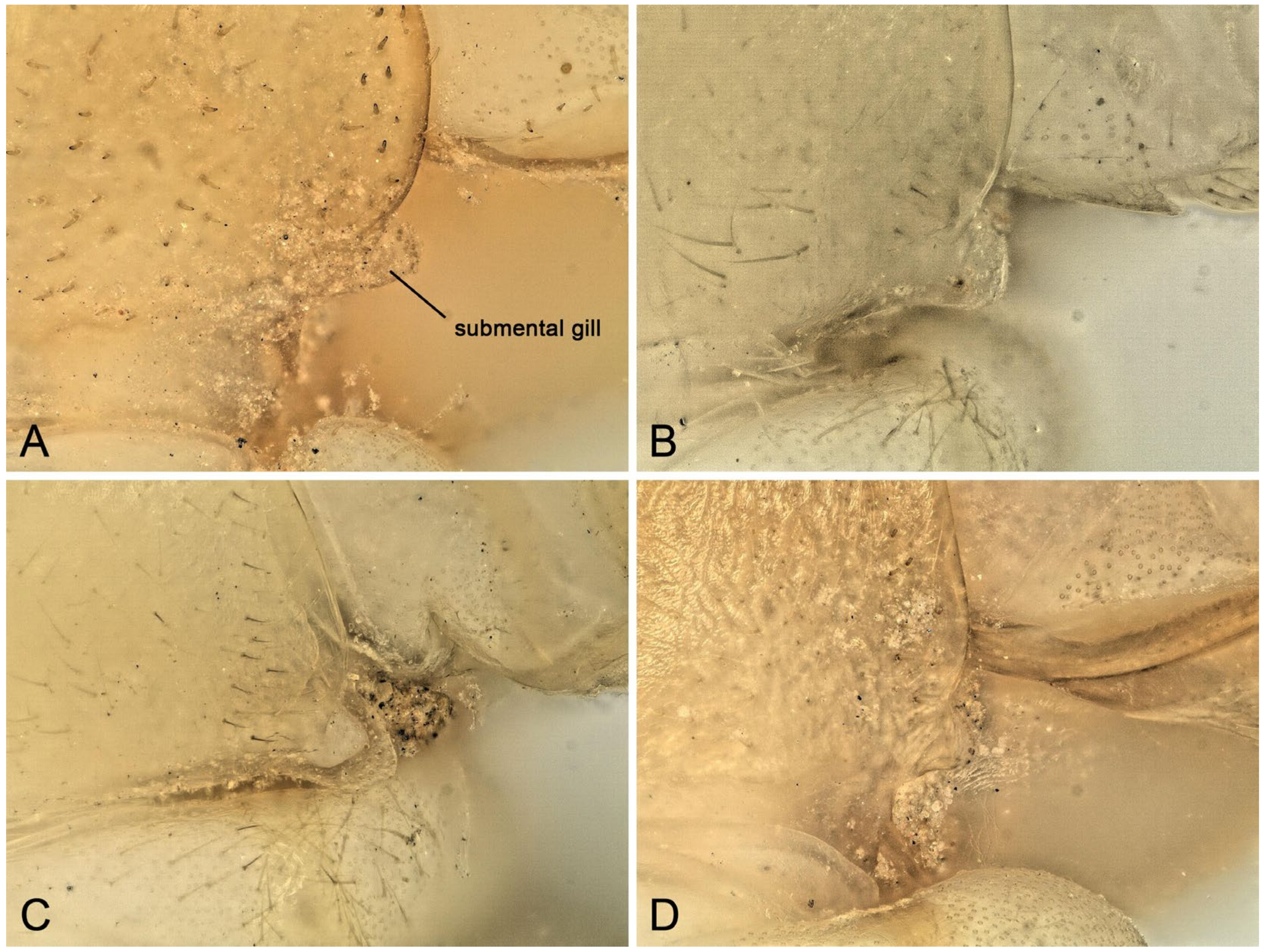 Insects 16 00520 g015