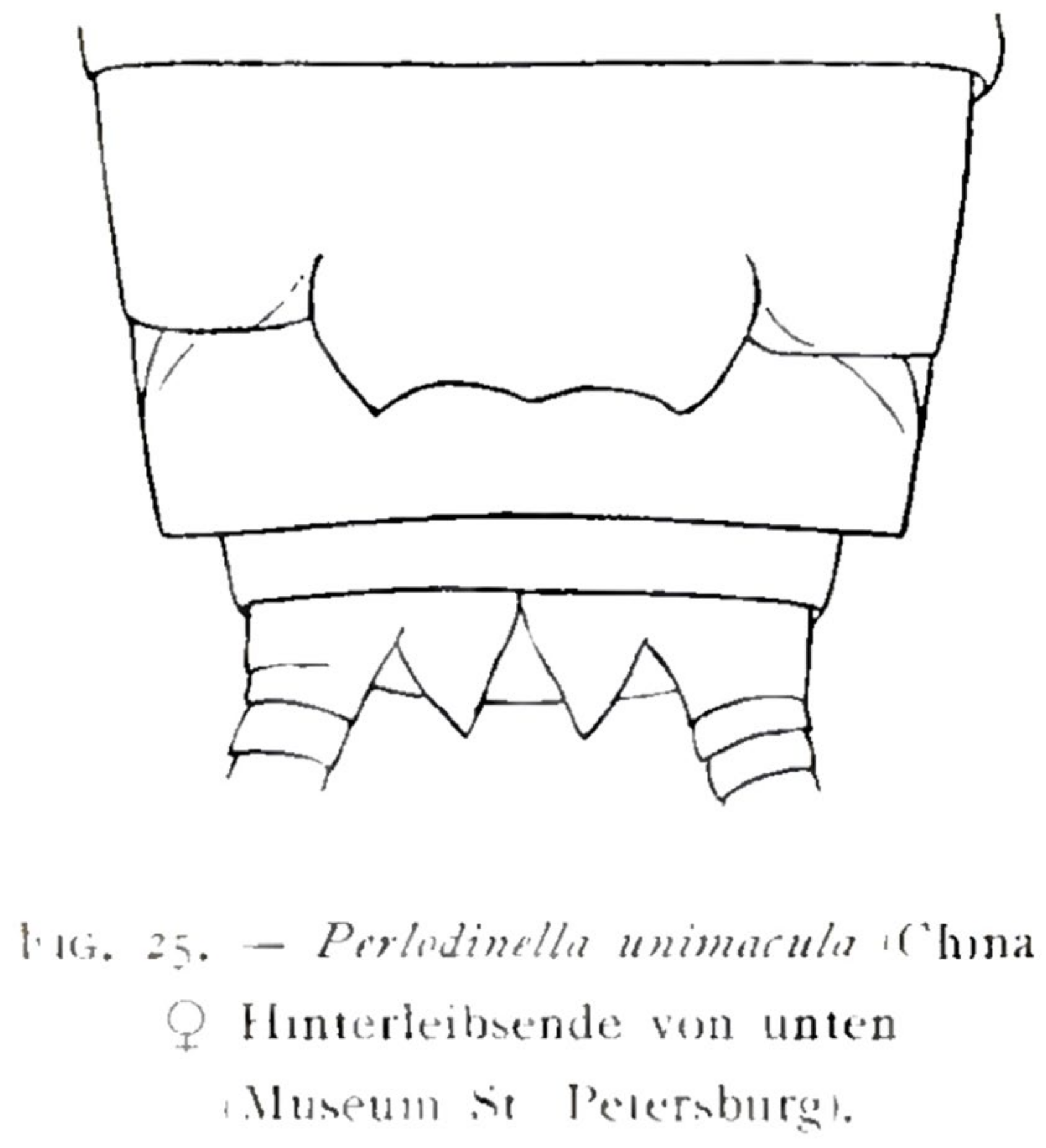 Insects 16 00520 g016