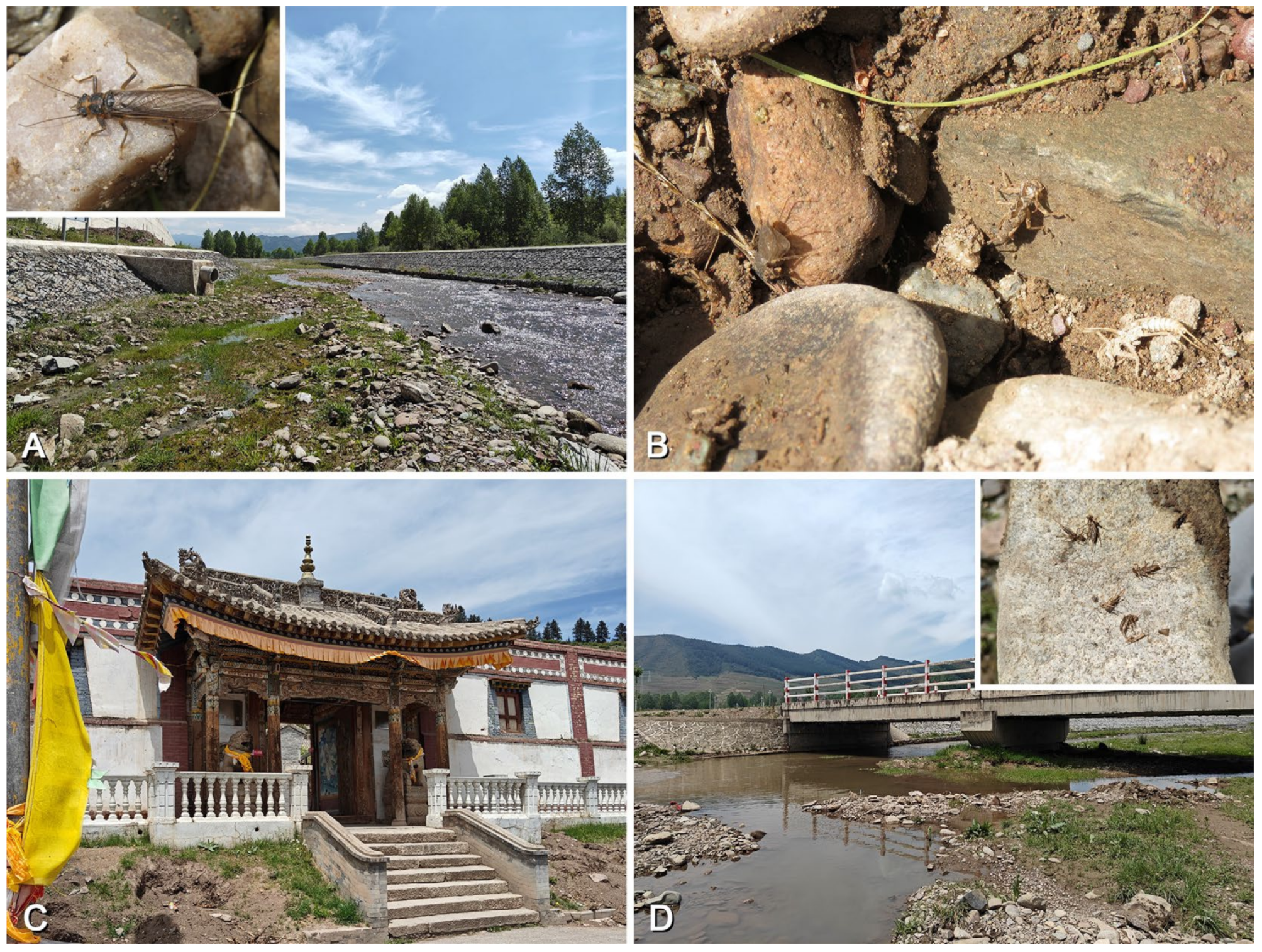 Insects 16 00520 g018