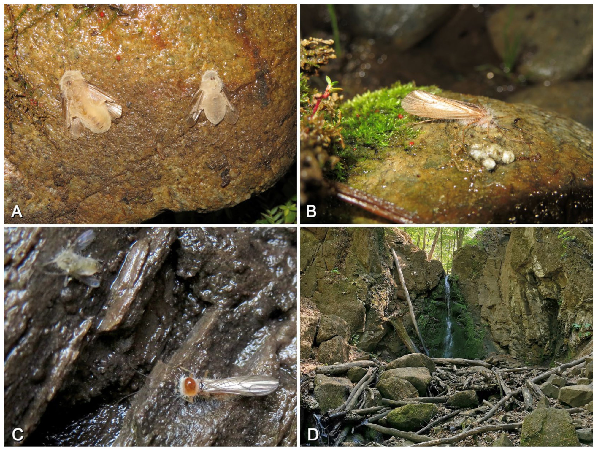 Insects 16 00520 g021