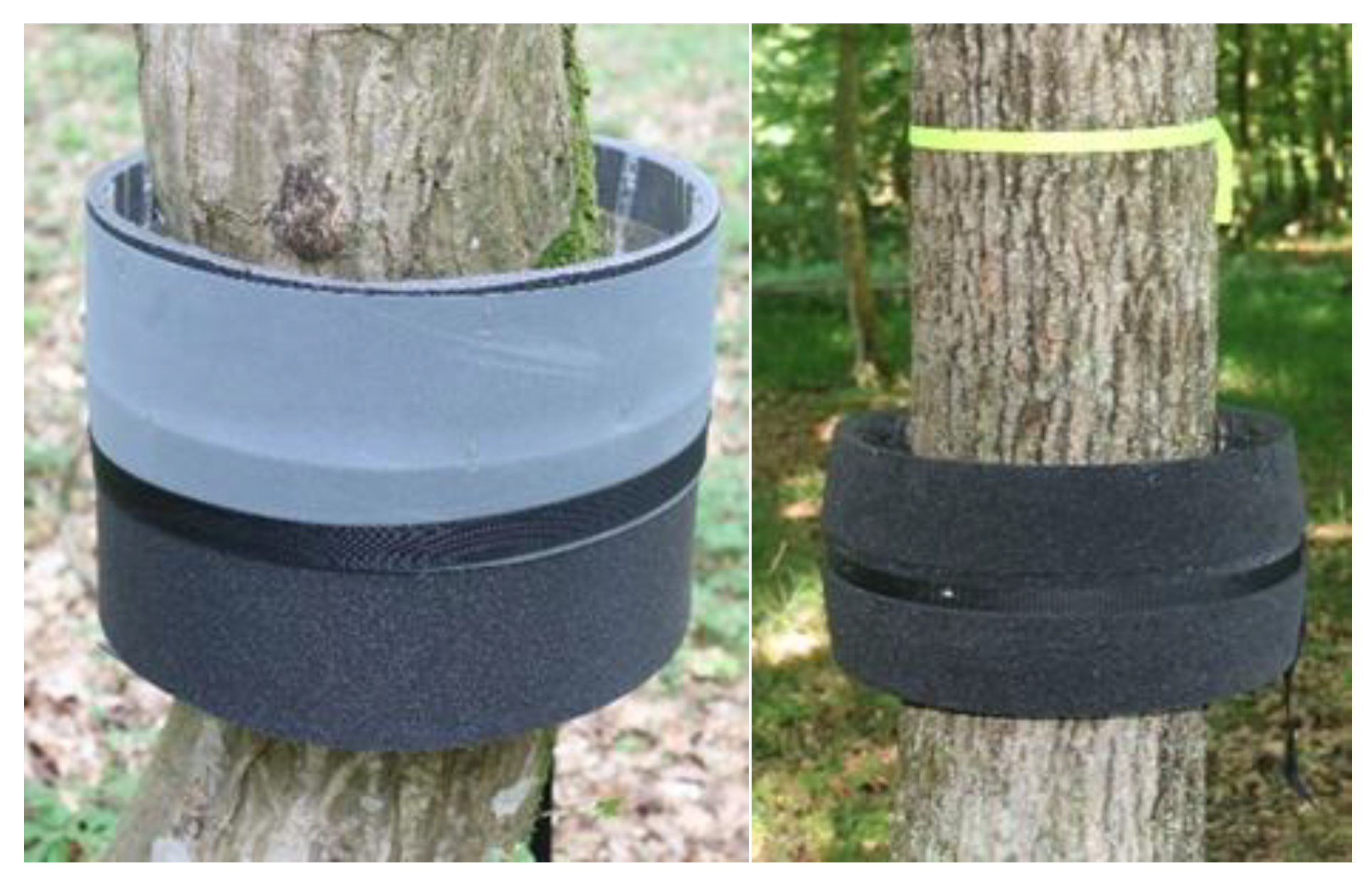 Insects 16 00522 g002