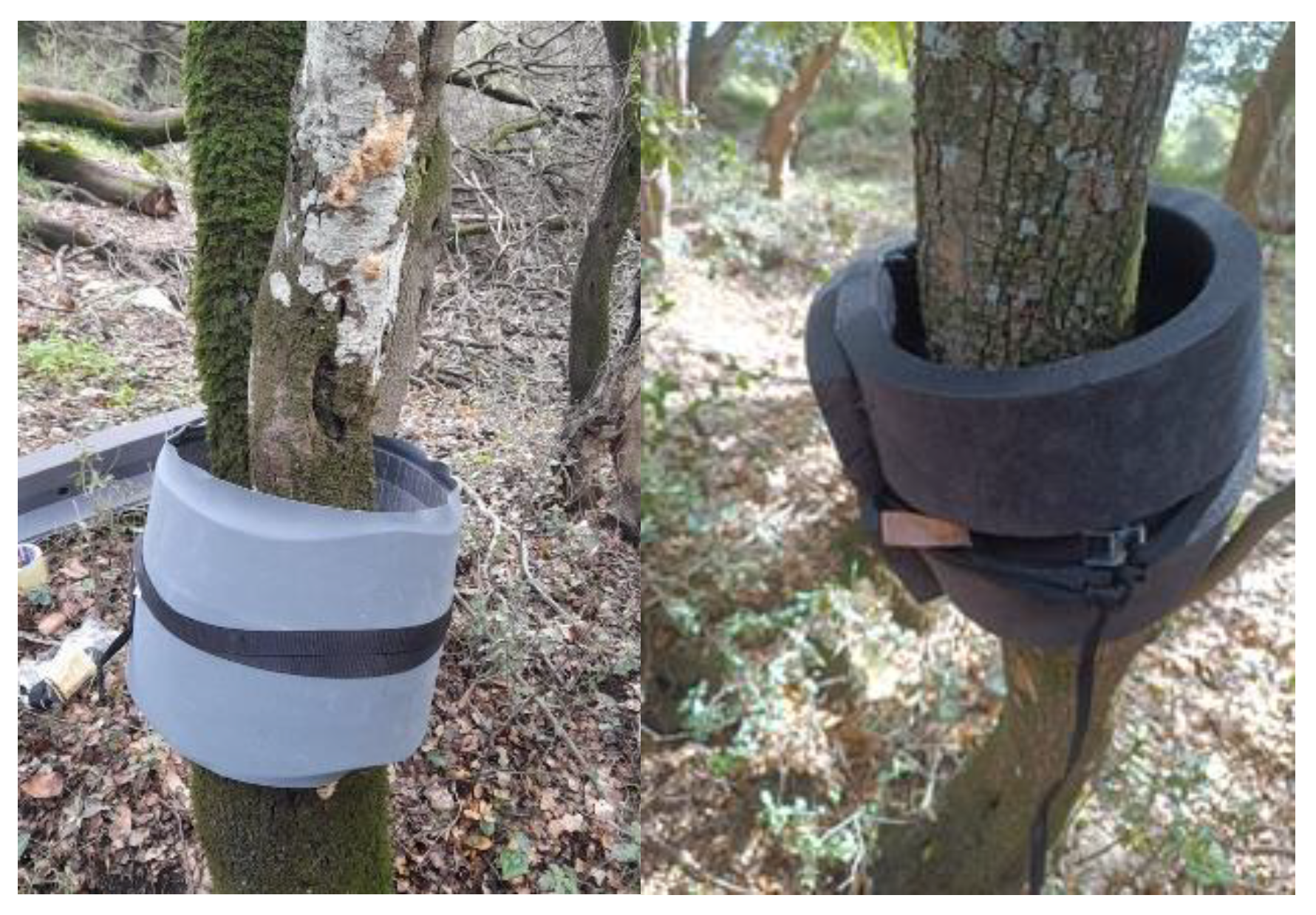 Insects 16 00522 g003