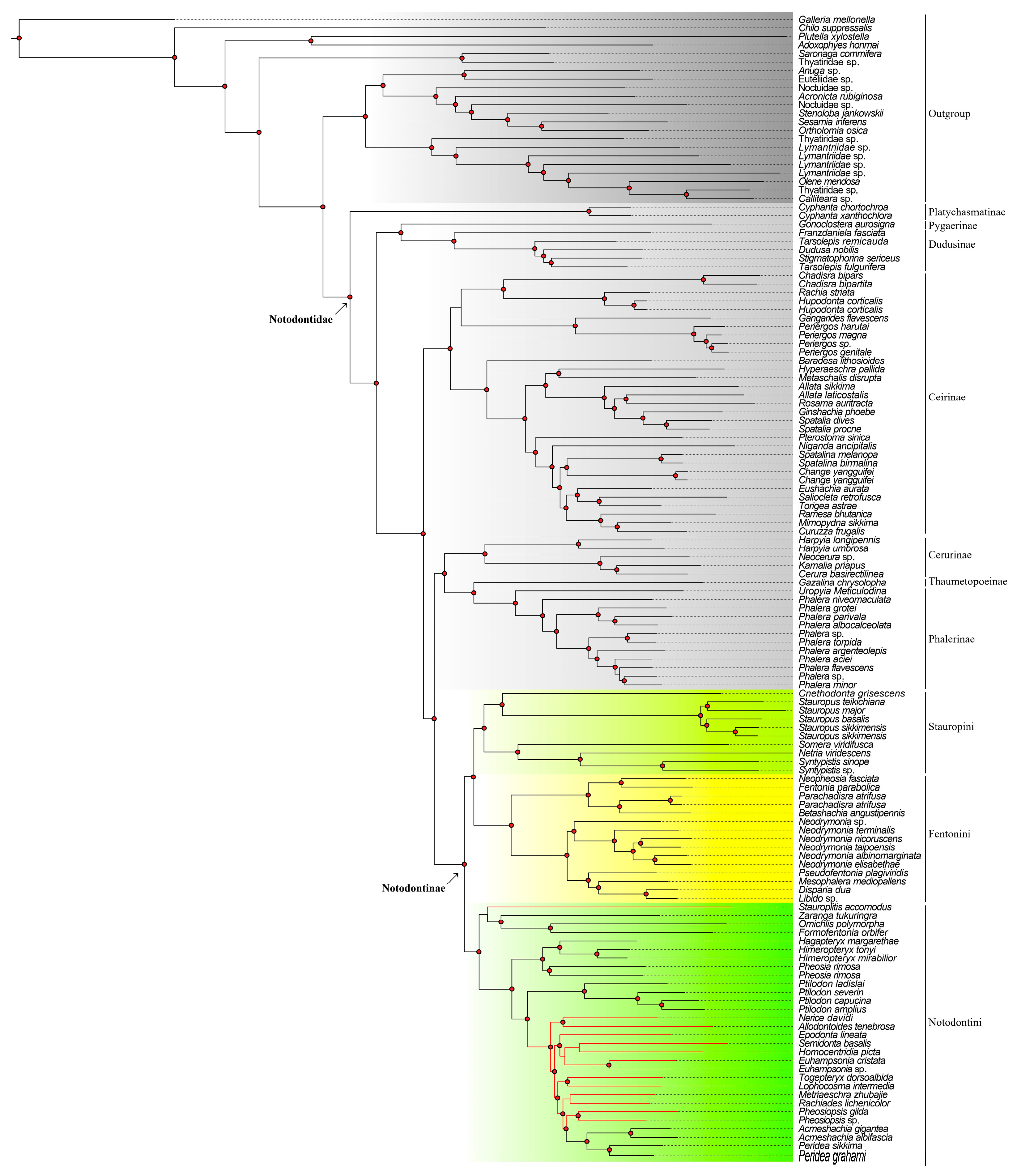 Insects 16 00526 g002