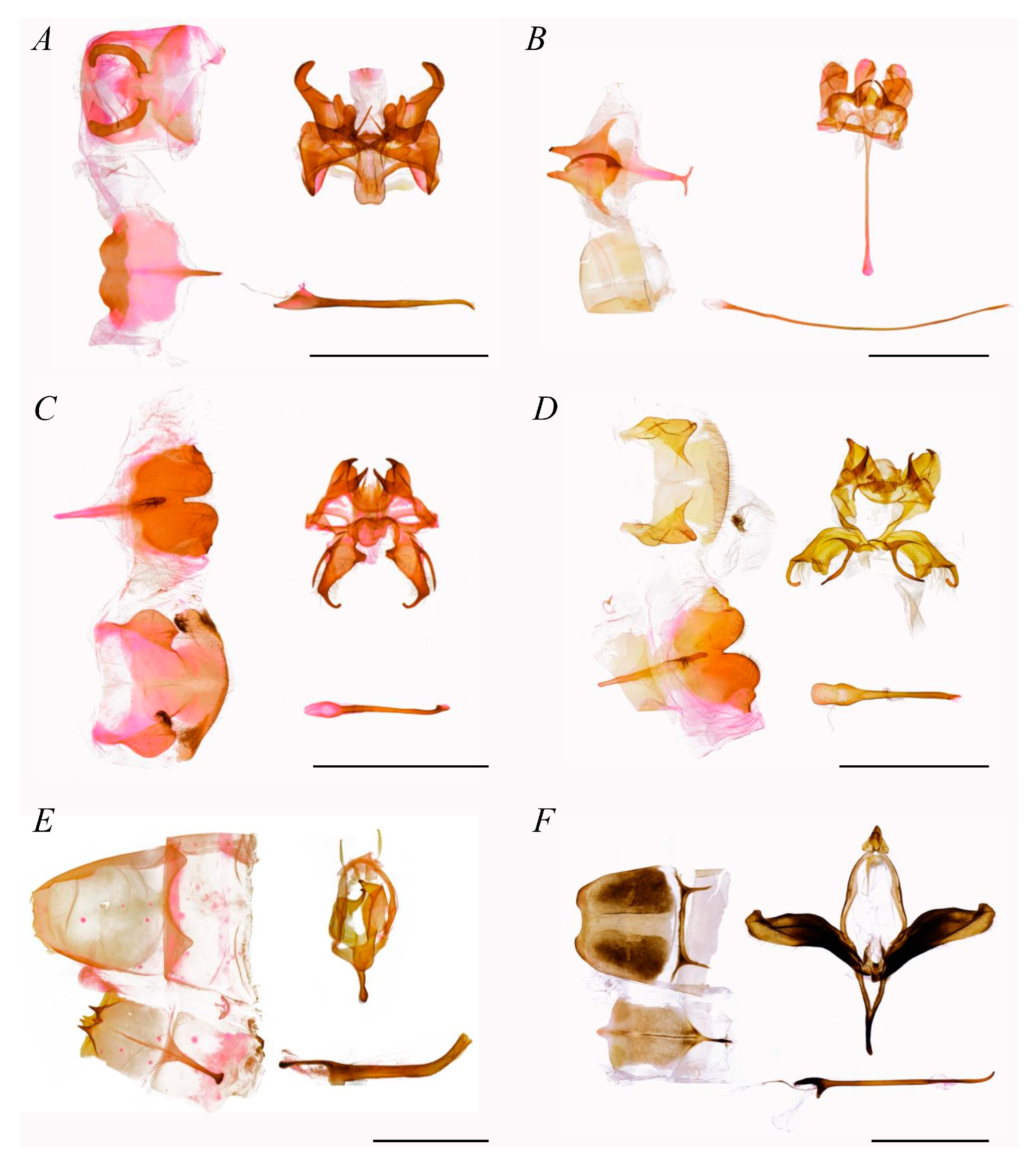 Insects 16 00526 g003