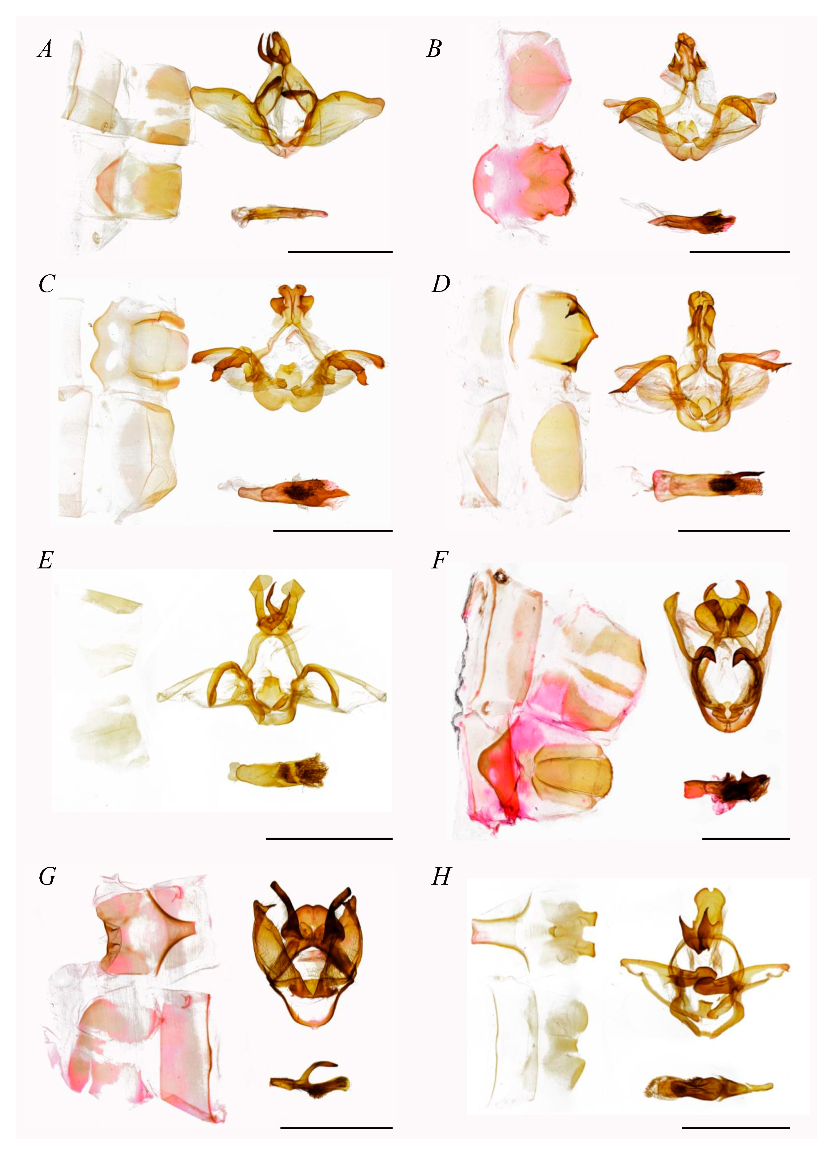 Insects 16 00526 g005