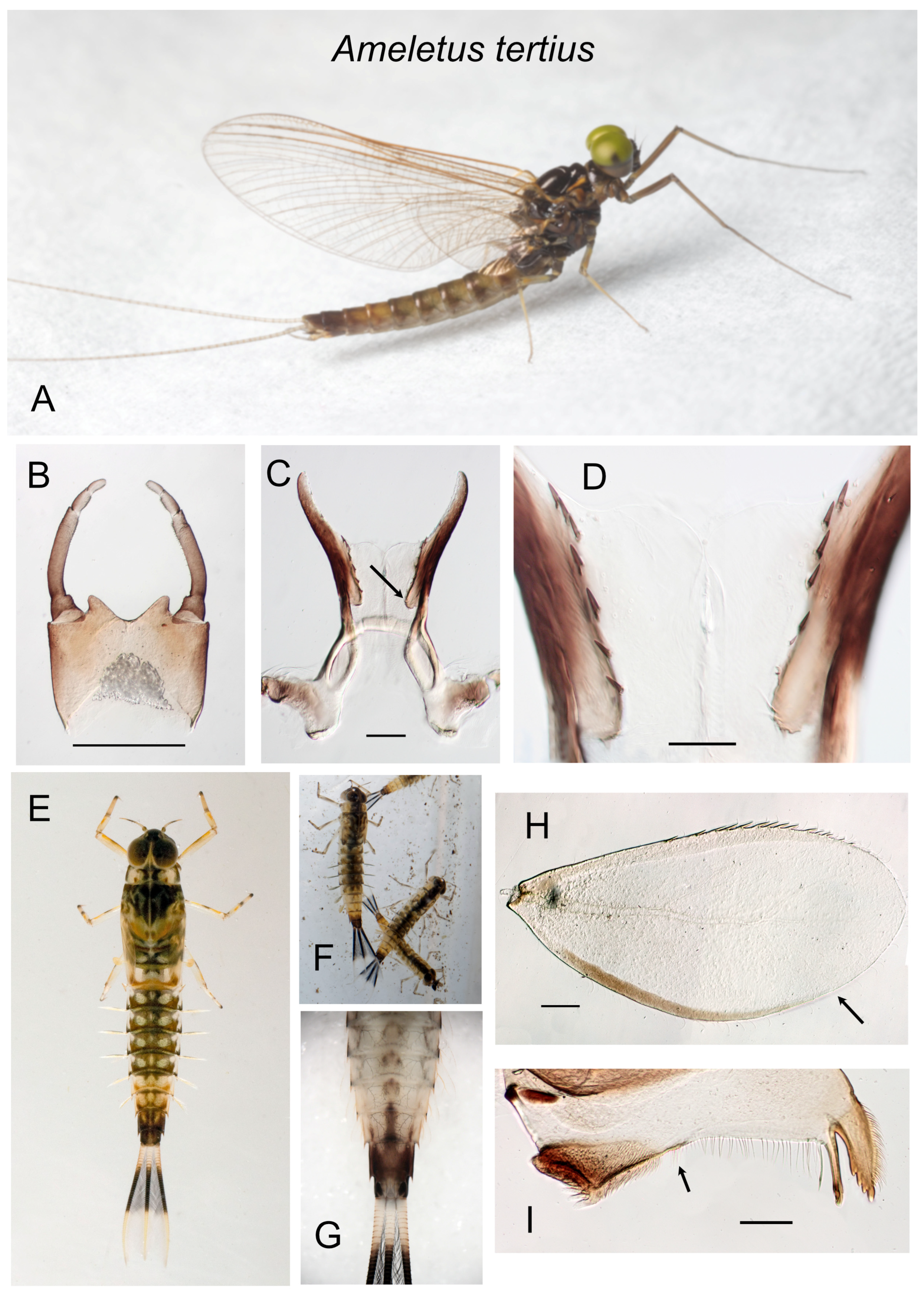Insects 16 00530 g014