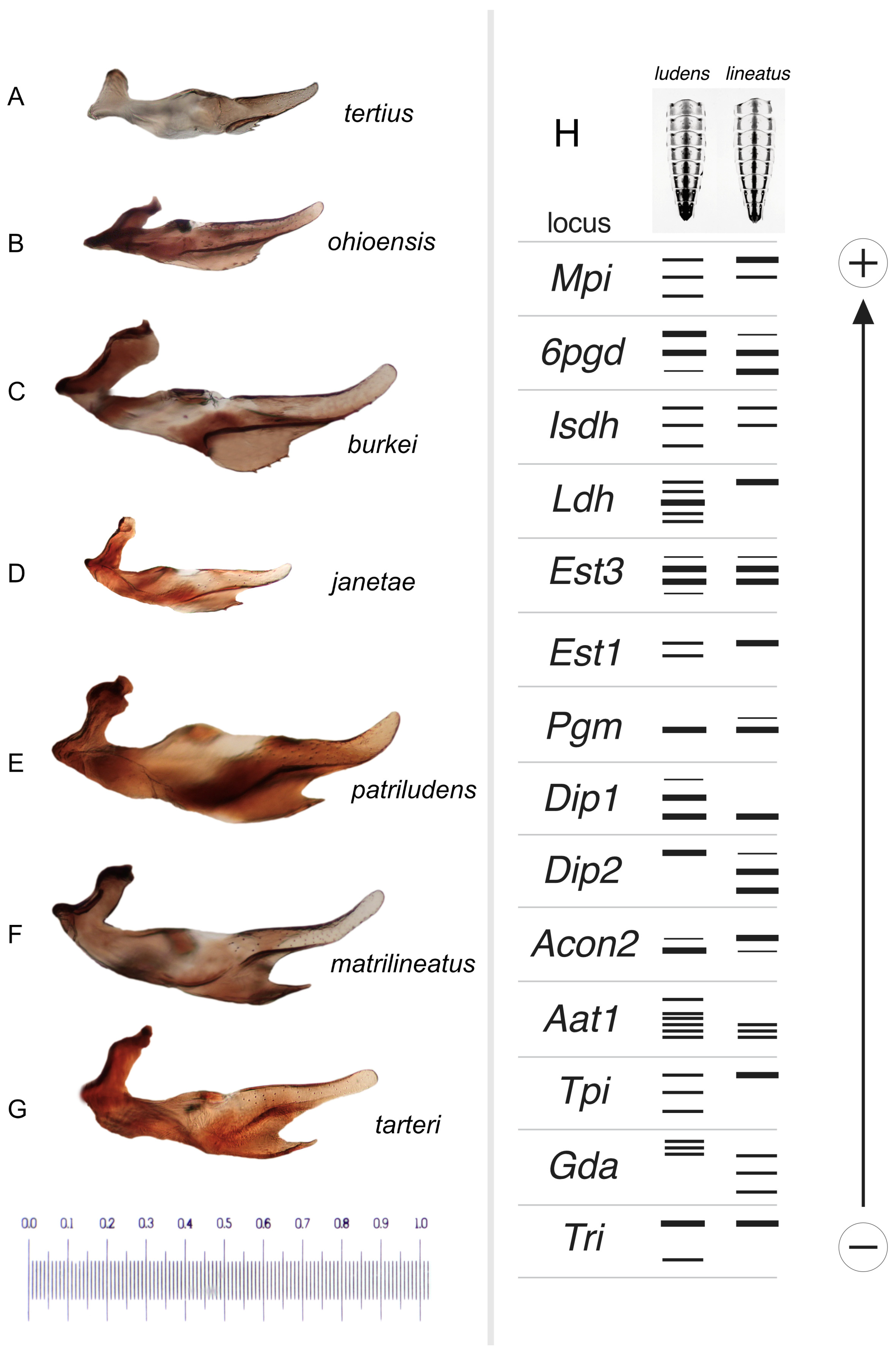 Insects 16 00530 g015