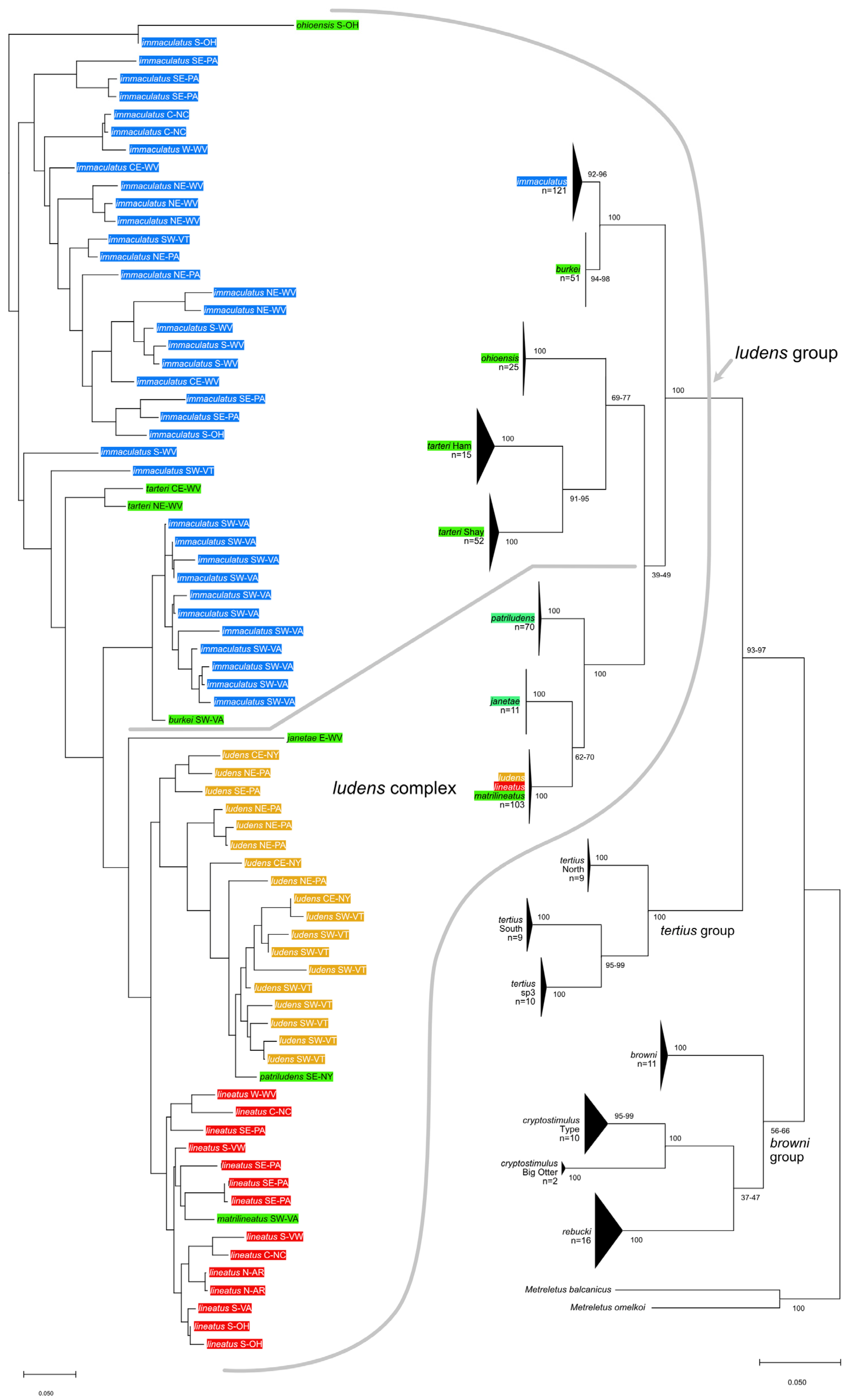 Insects 16 00530 g019