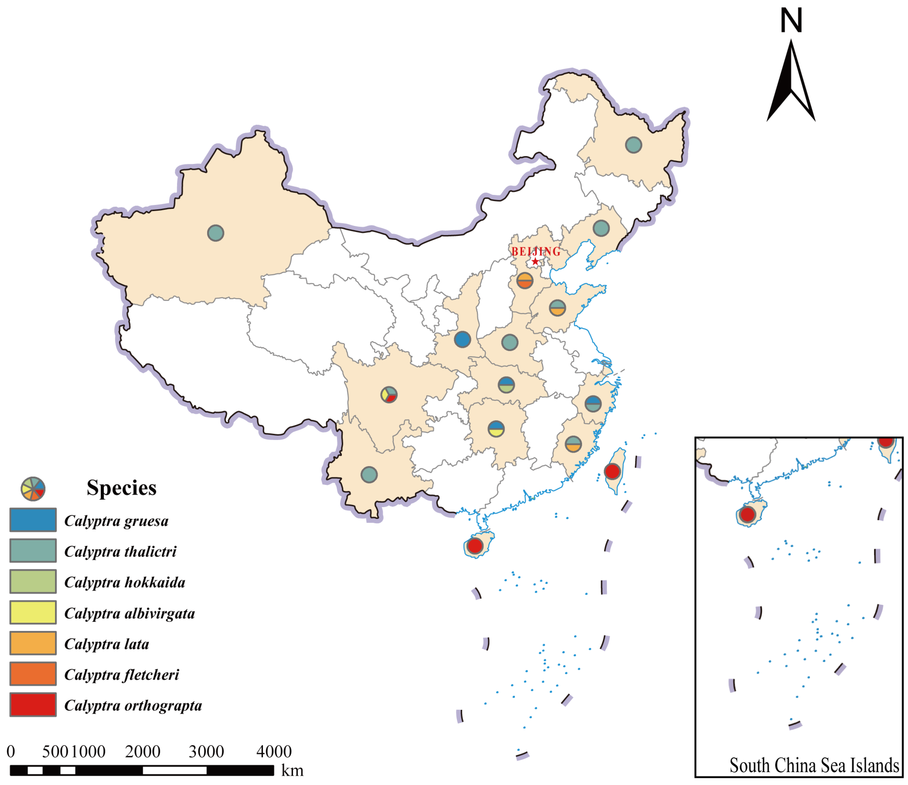 Insects 16 00534 g001