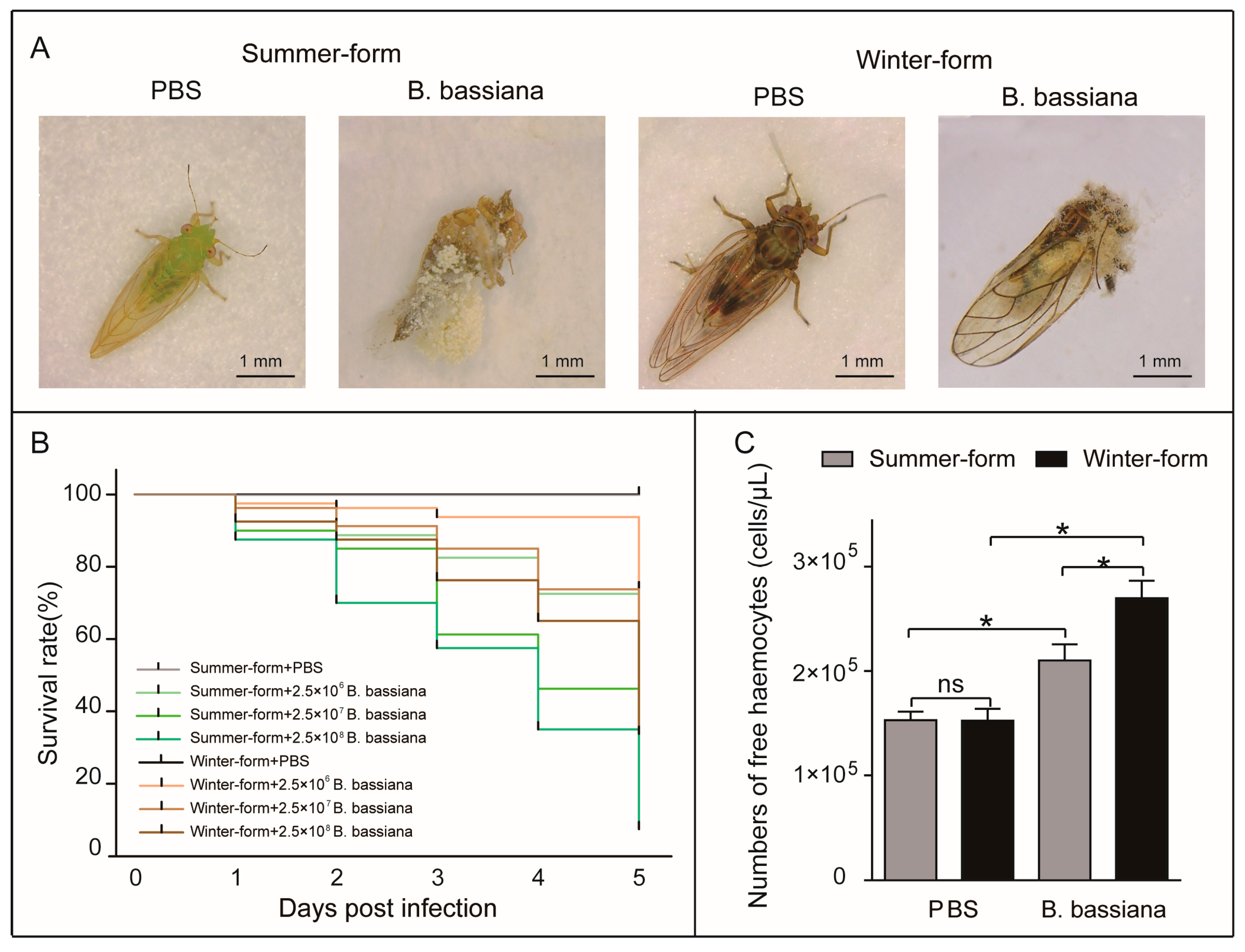 Insects 16 00541 g001