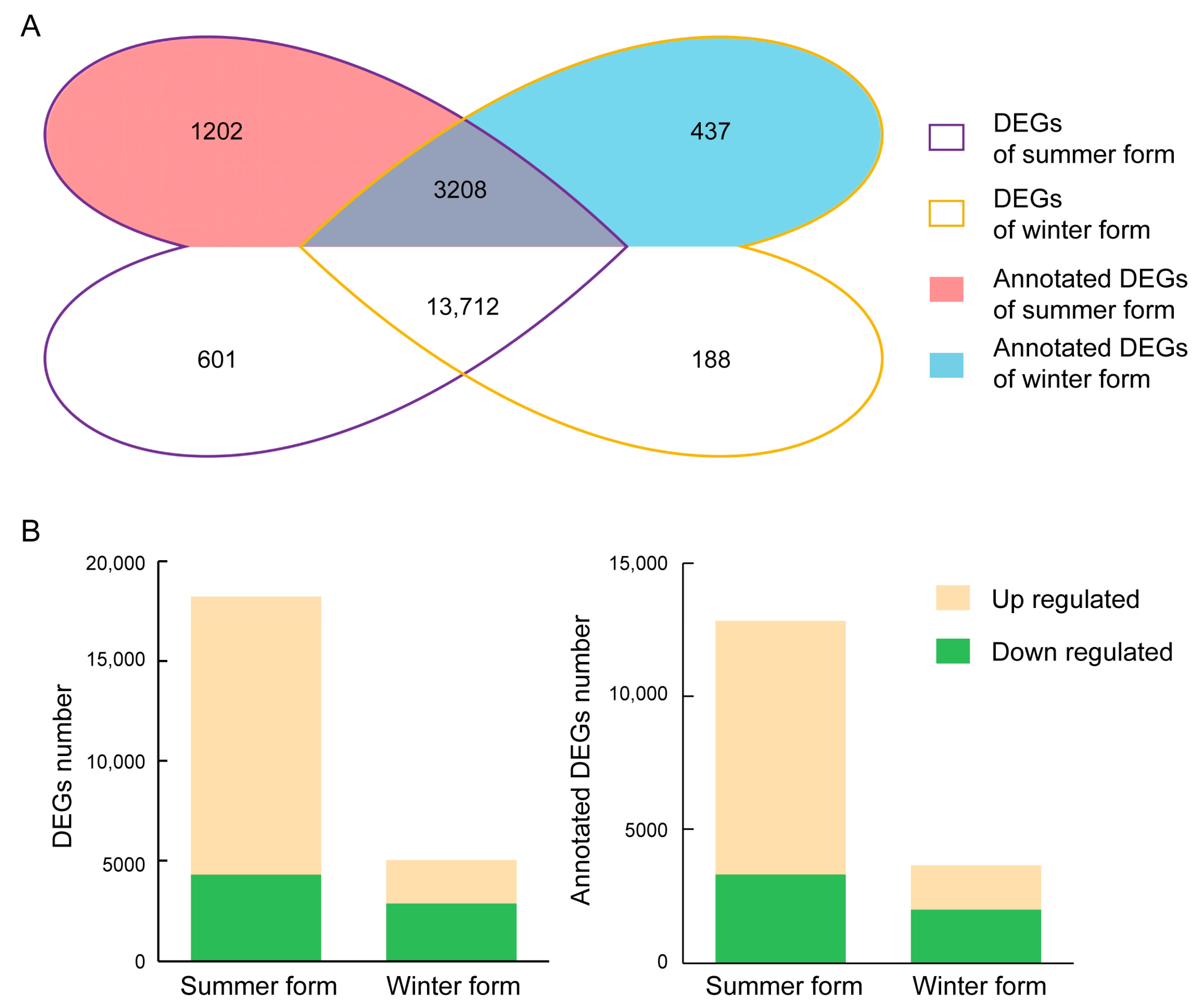 Insects 16 00541 g004