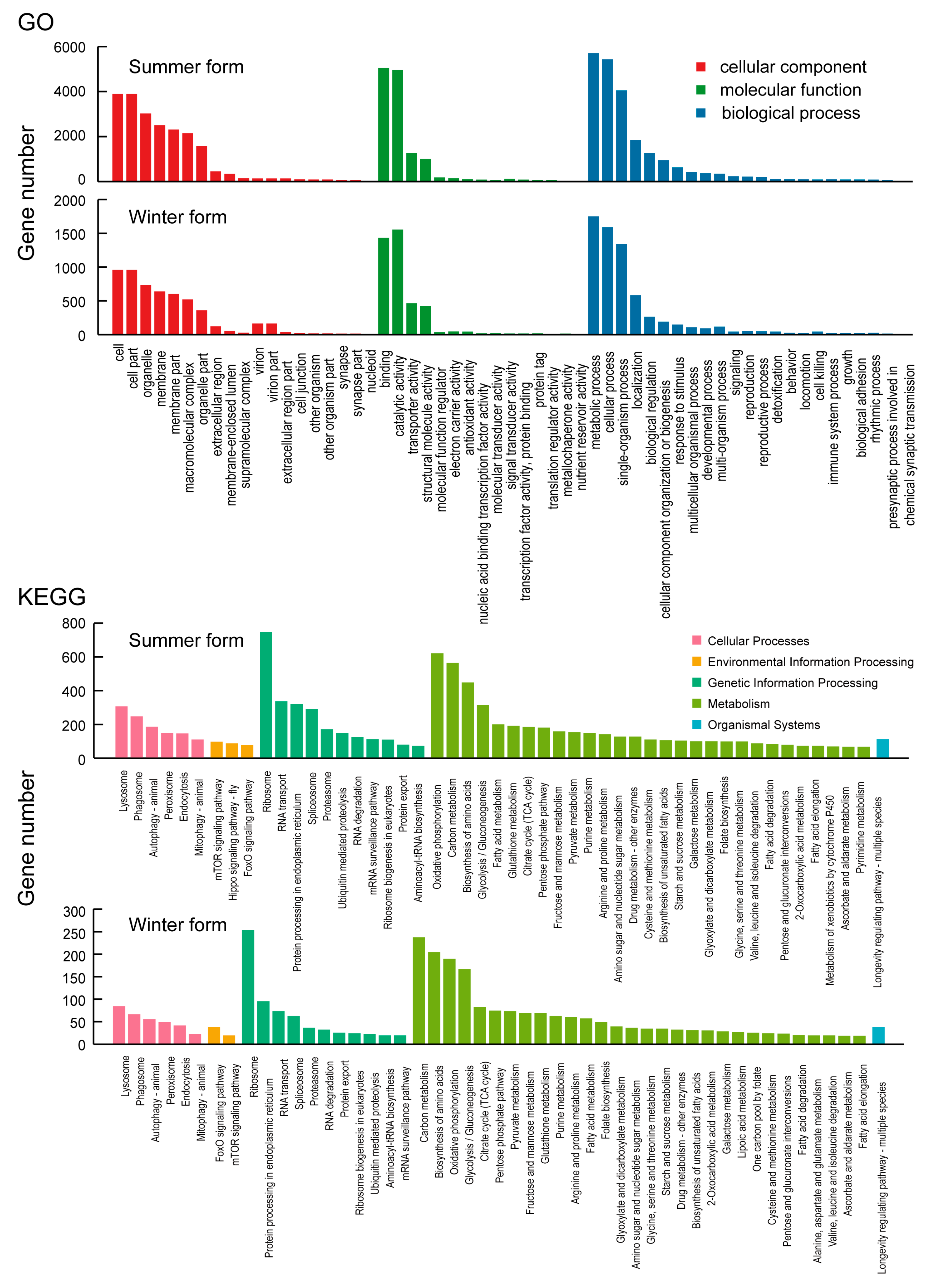 Insects 16 00541 g005