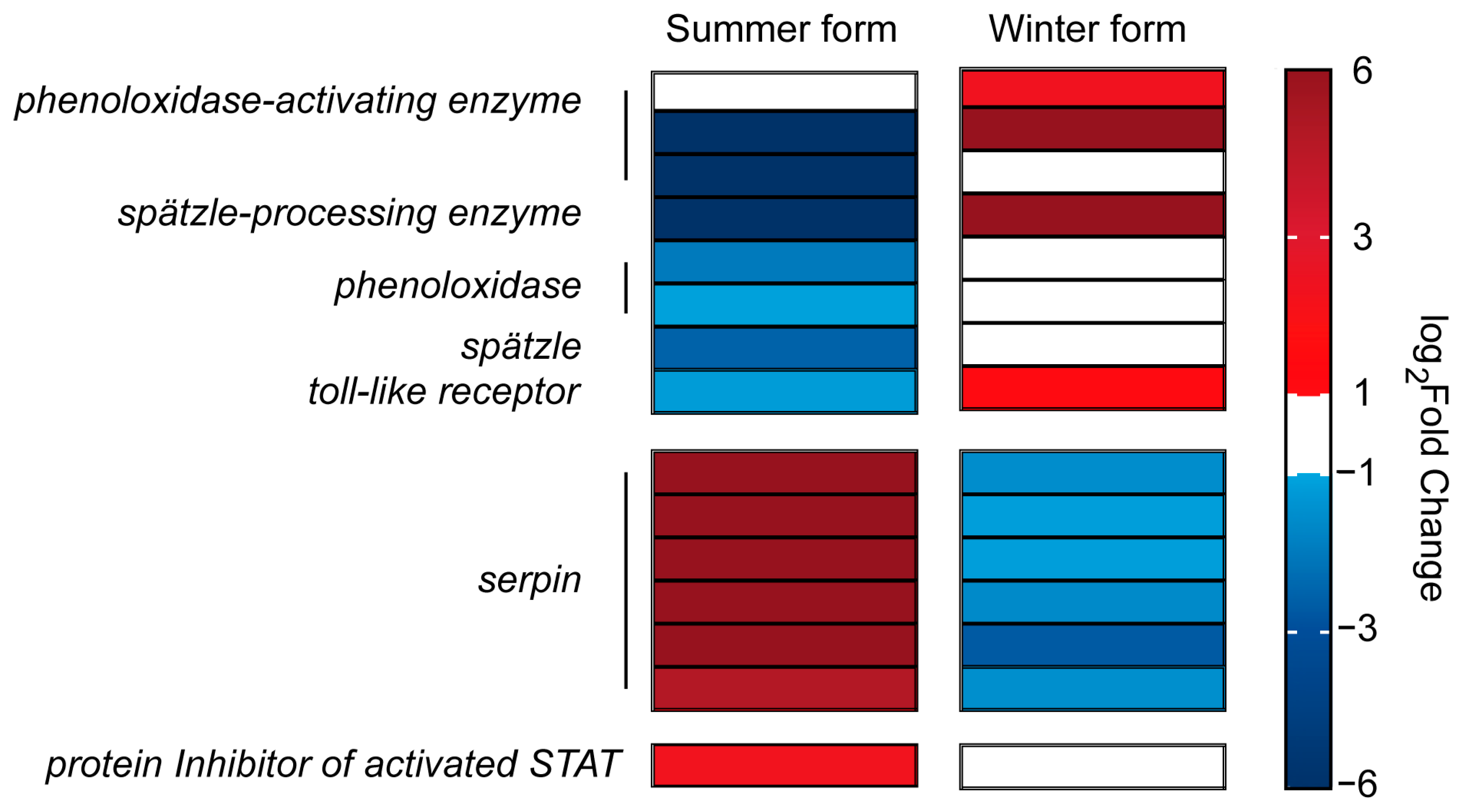 Insects 16 00541 g008