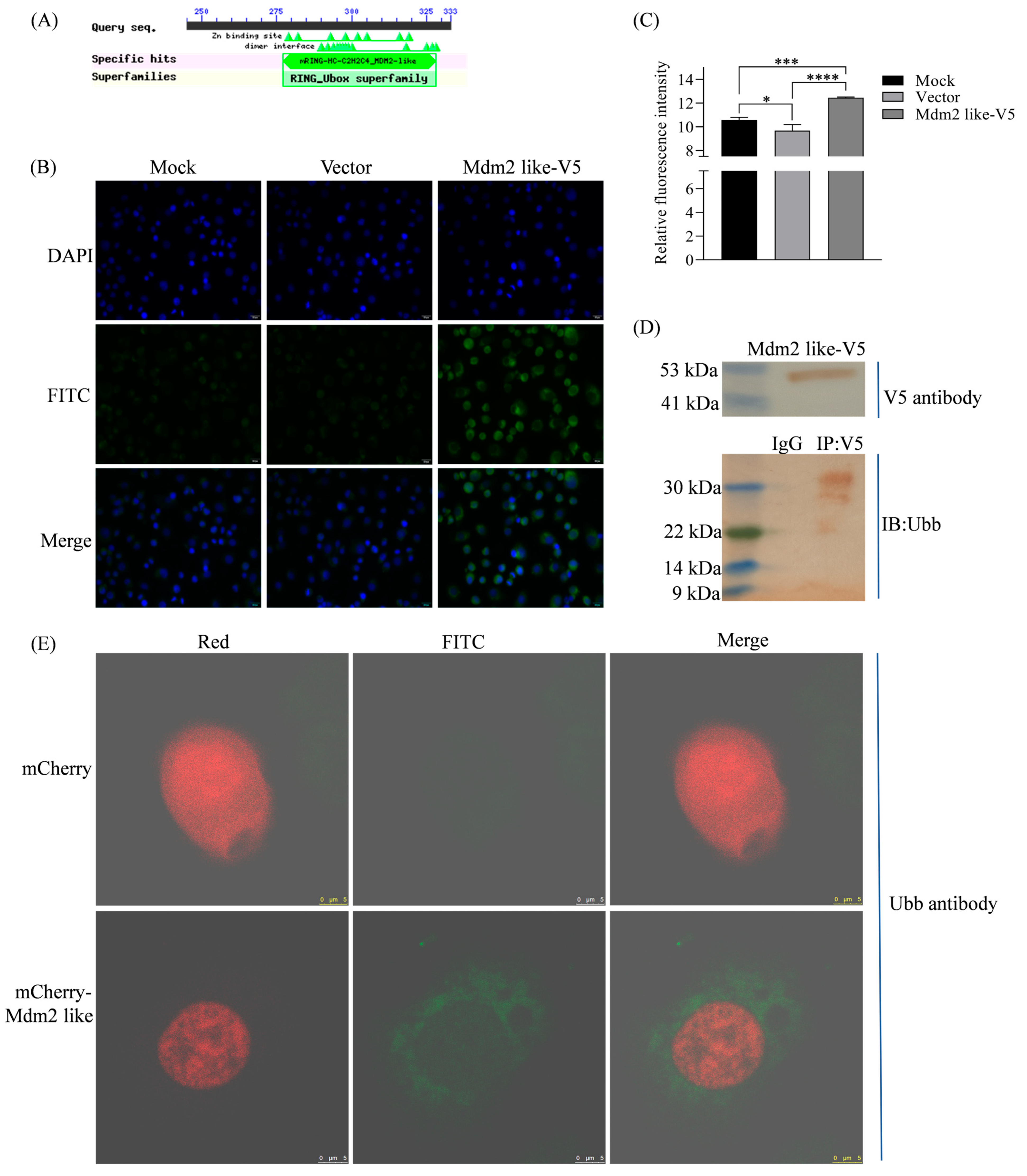Insects 16 00544 g001