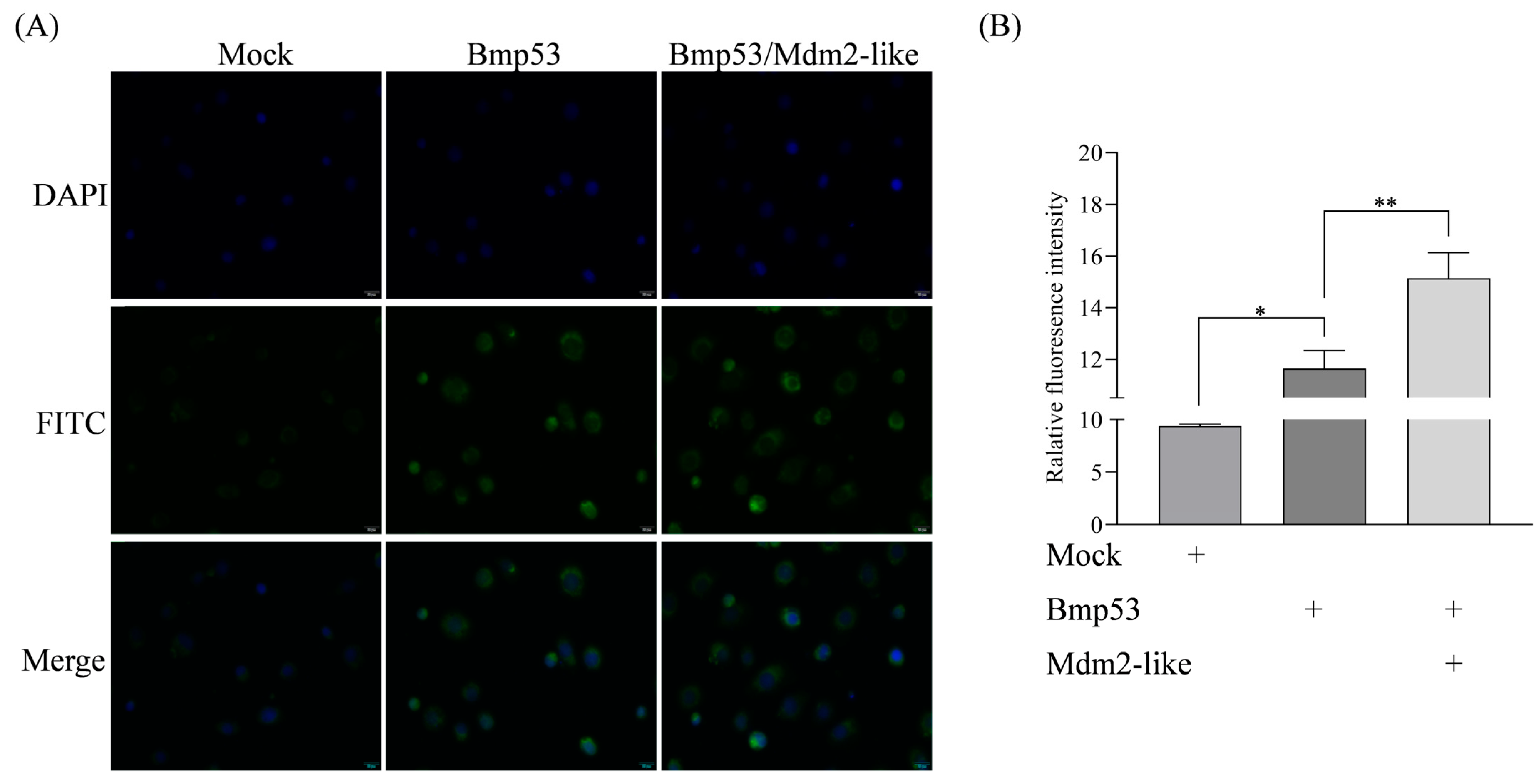 Insects 16 00544 g004