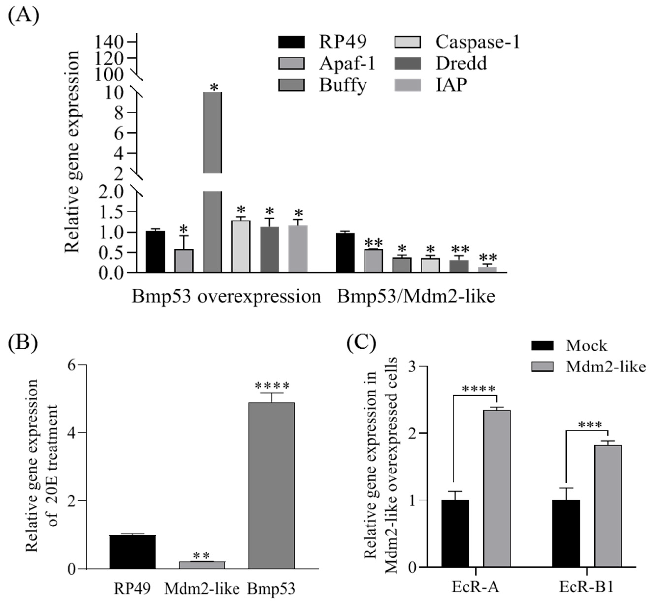 Insects 16 00544 g006