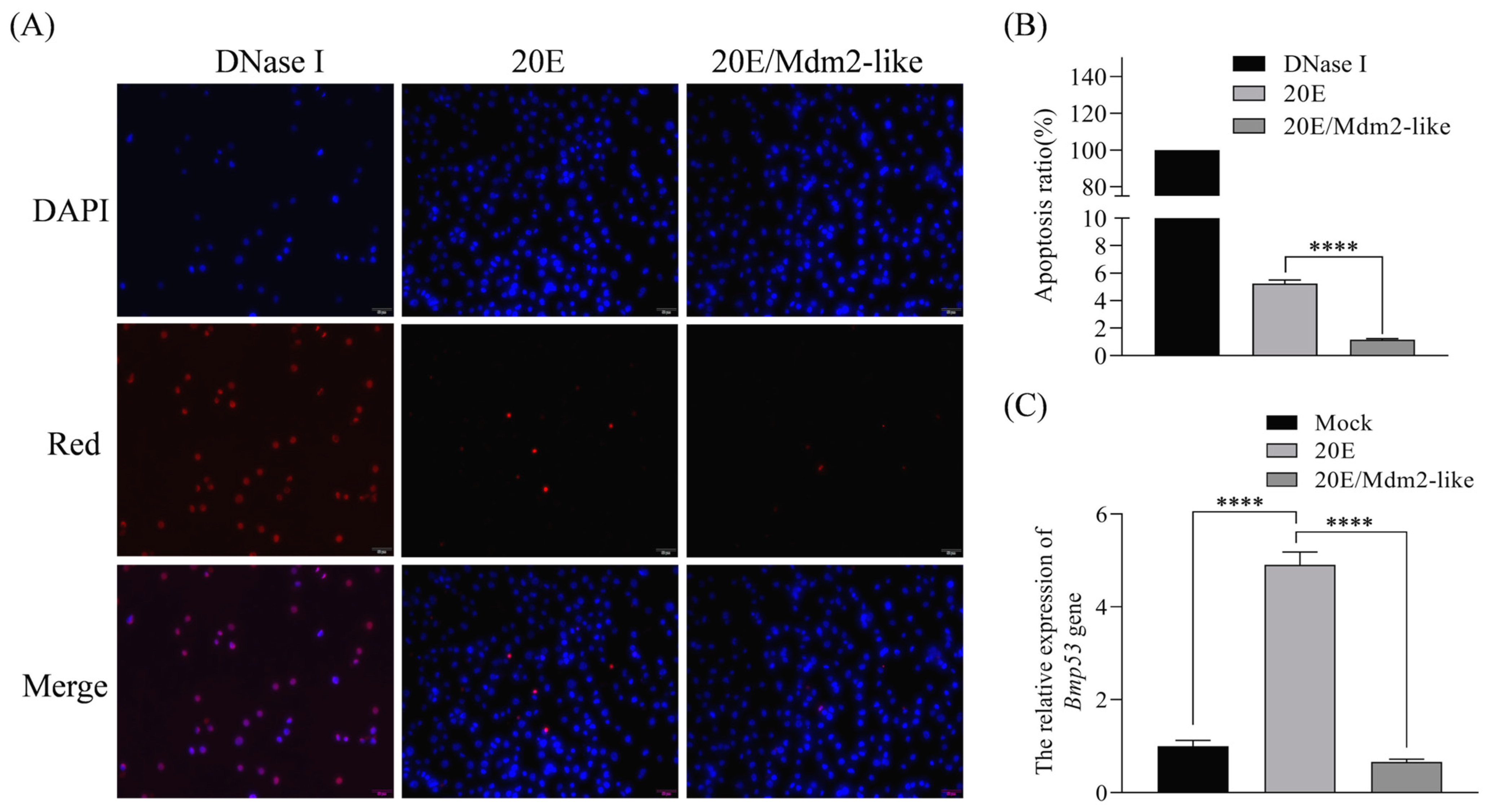 Insects 16 00544 g007