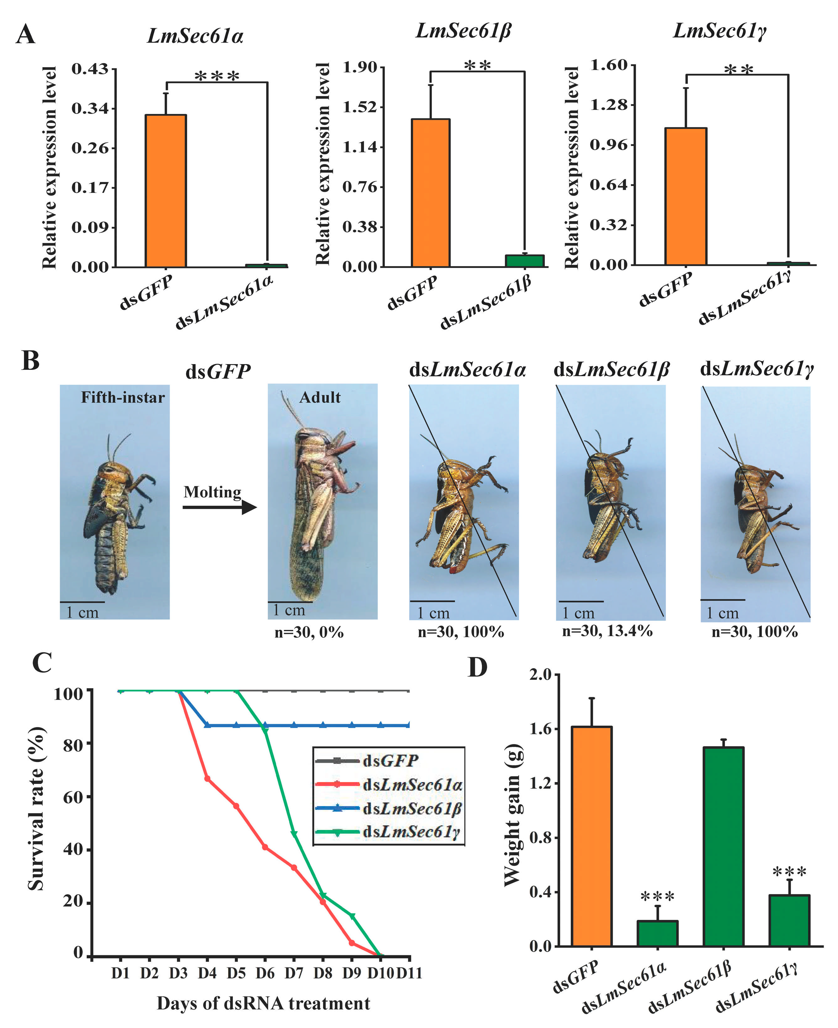 Insects 16 00550 g004 Insects 16 00550 g004