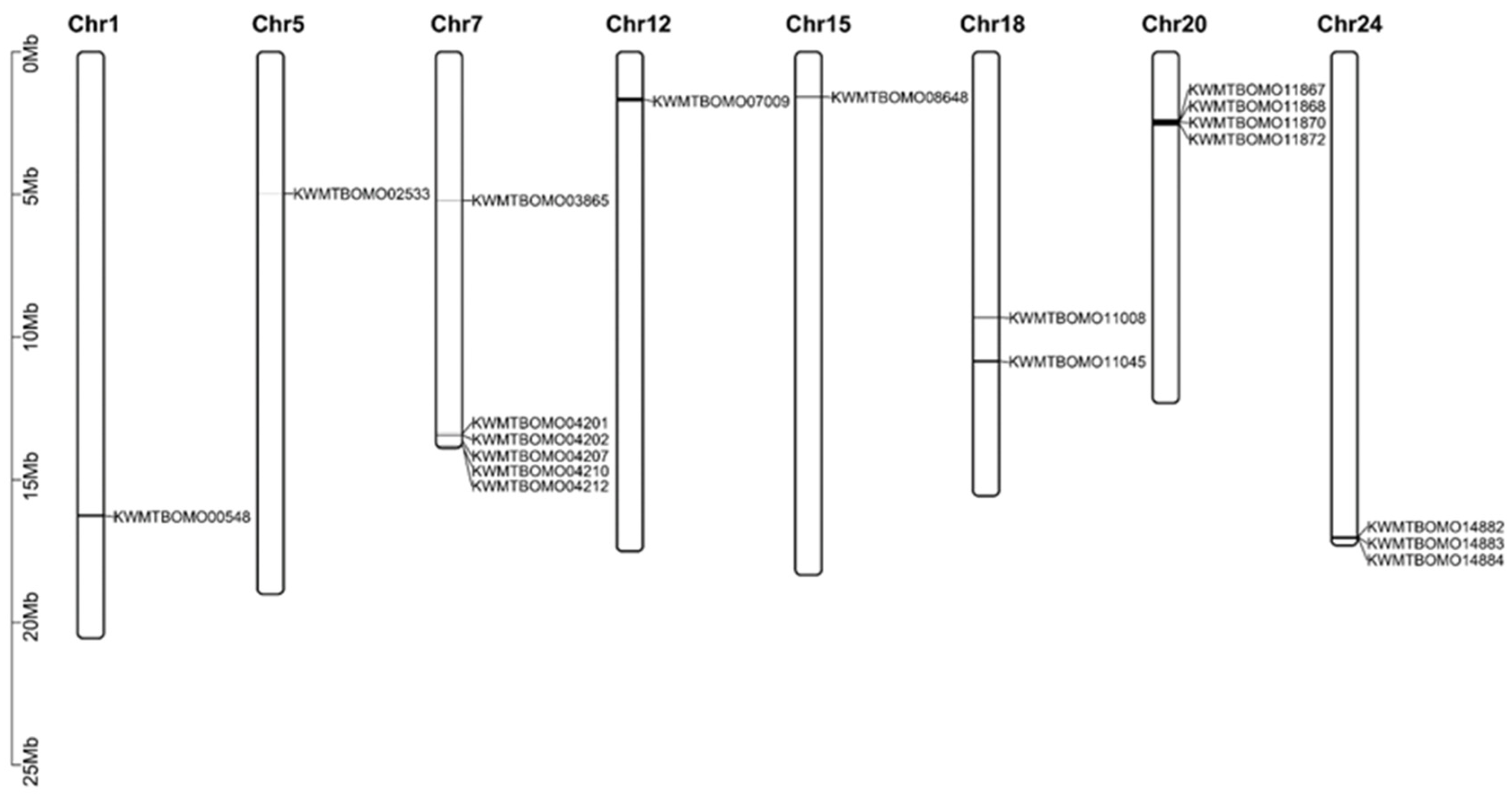 Insects 16 00556 g001 Insects 16 00556 g001