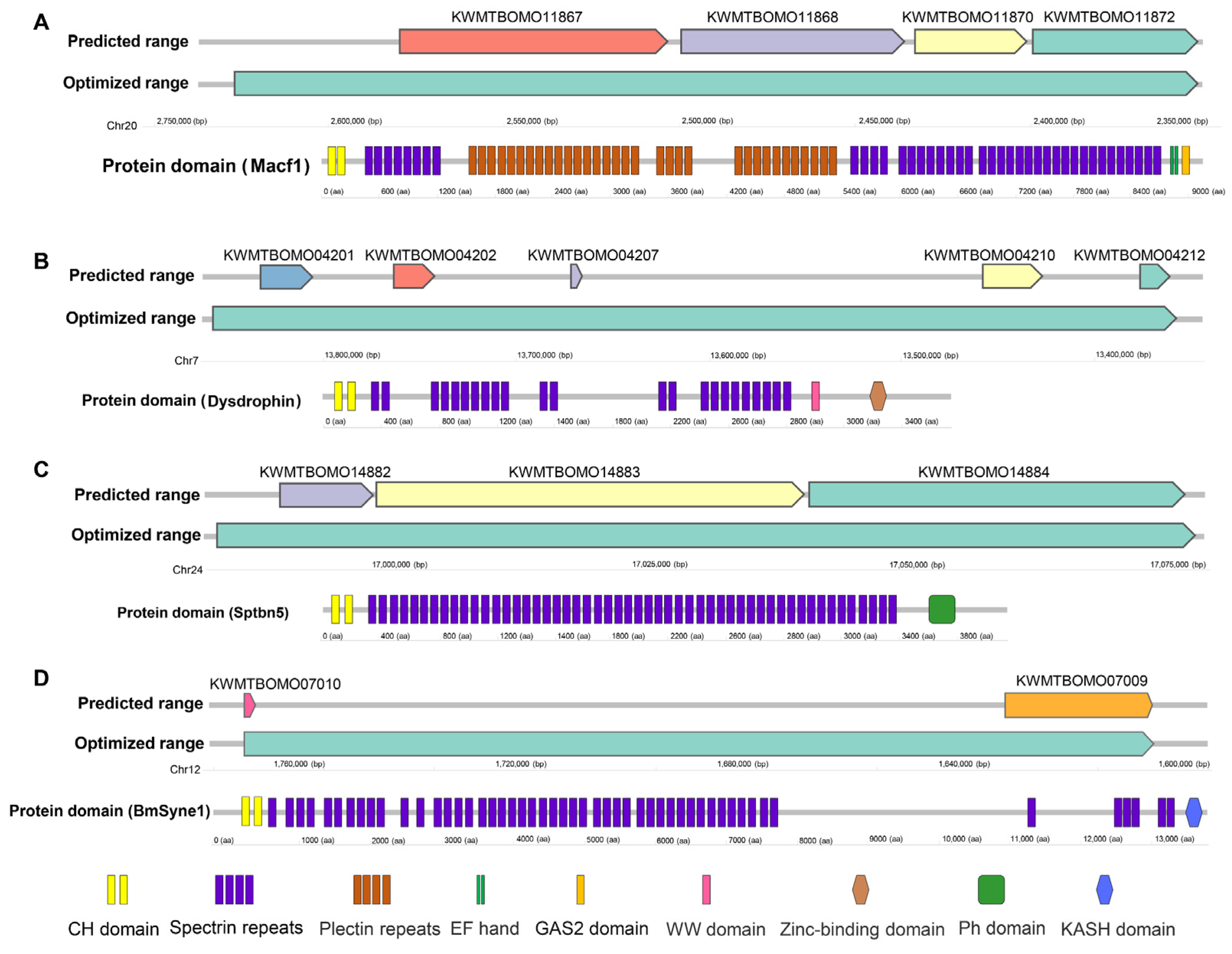 Insects 16 00556 g002 Insects 16 00556 g002