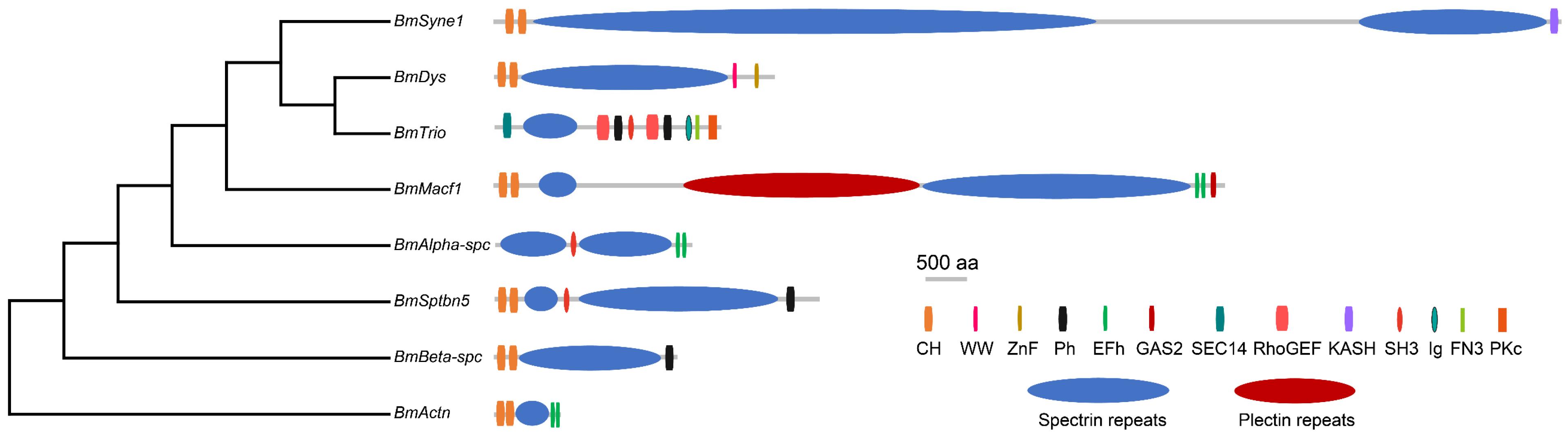 Insects 16 00556 g003 Insects 16 00556 g003