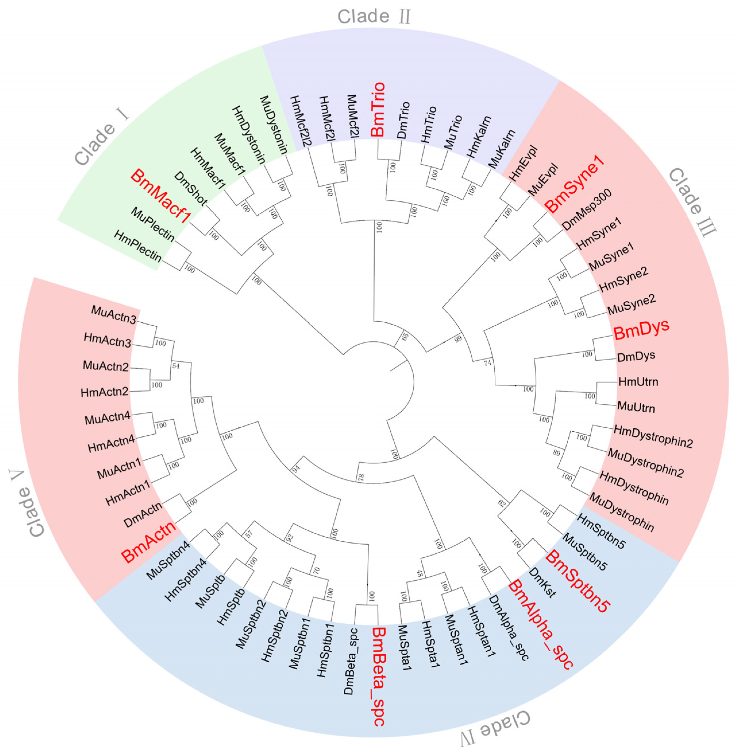 Insects 16 00556 g004 Insects 16 00556 g004
