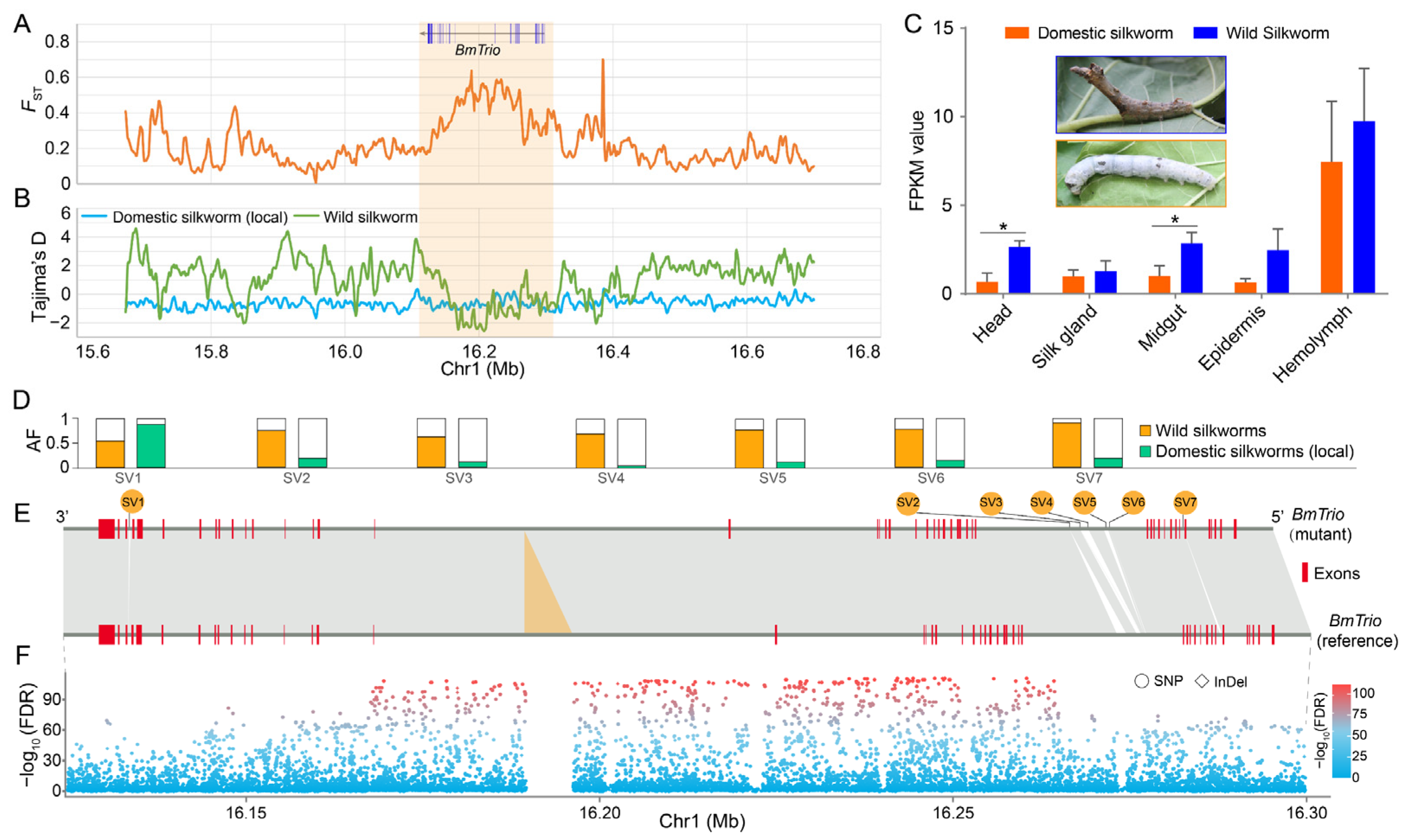 Insects 16 00556 g005 Insects 16 00556 g005