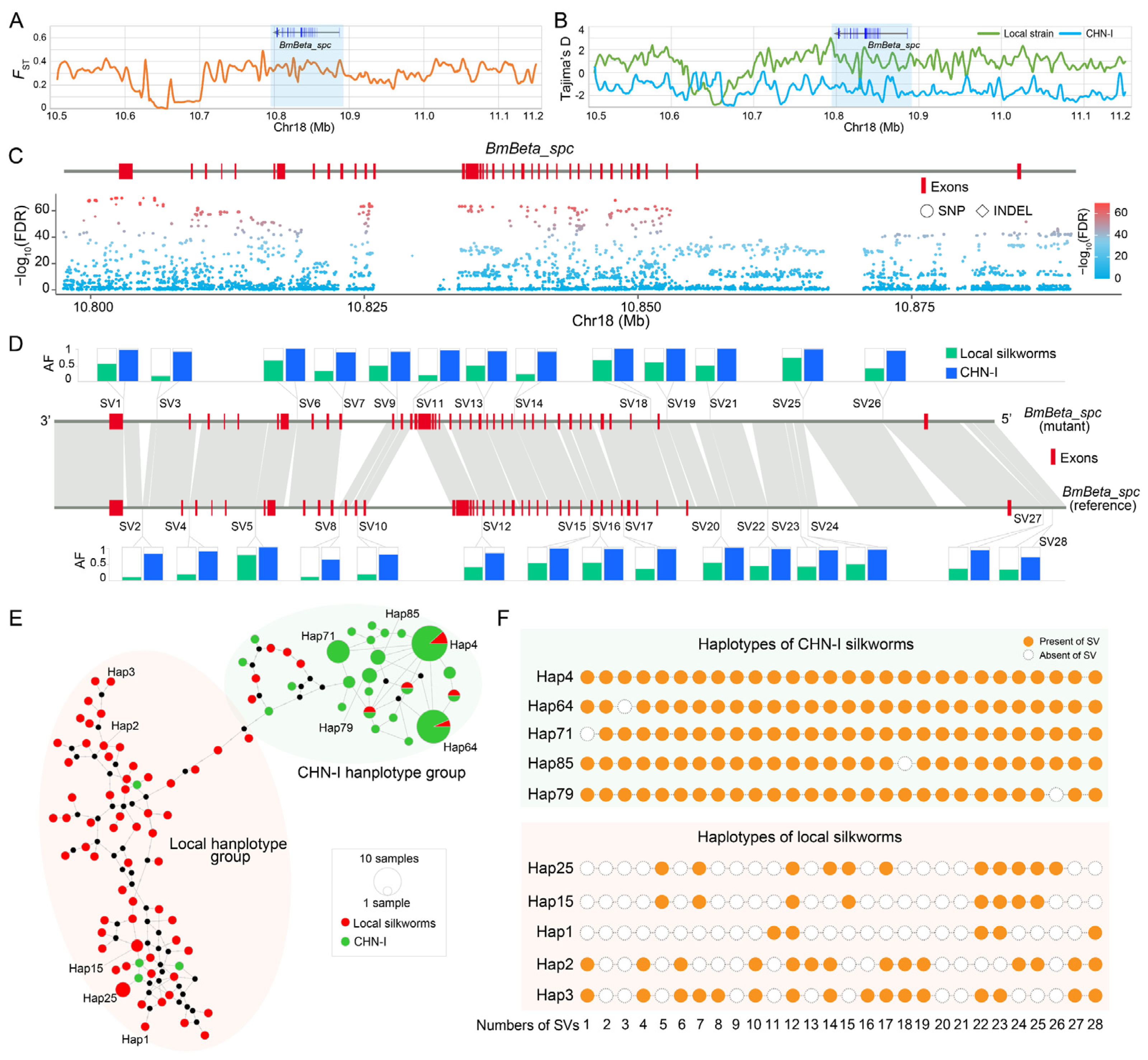 Insects 16 00556 g006 Insects 16 00556 g006