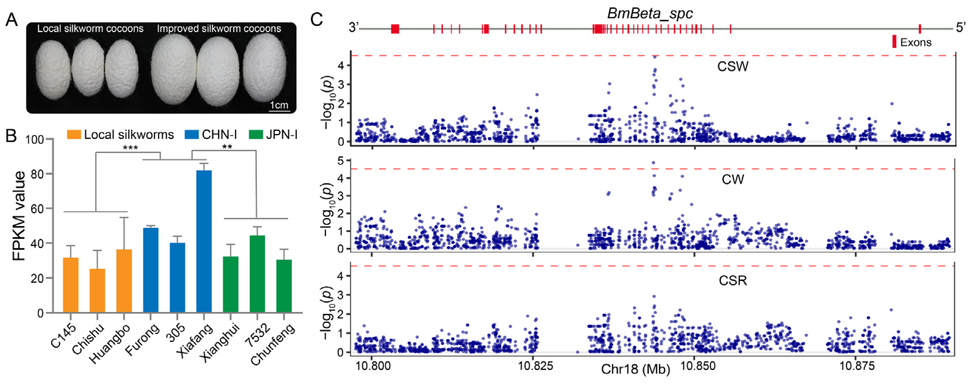 Insects 16 00556 g007 Insects 16 00556 g007