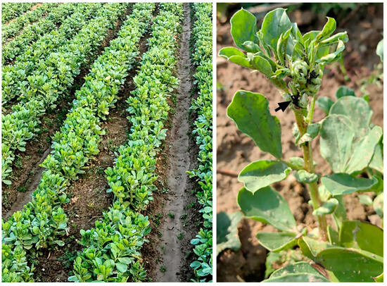 chuna A food safety targeted sampling decision-making method based