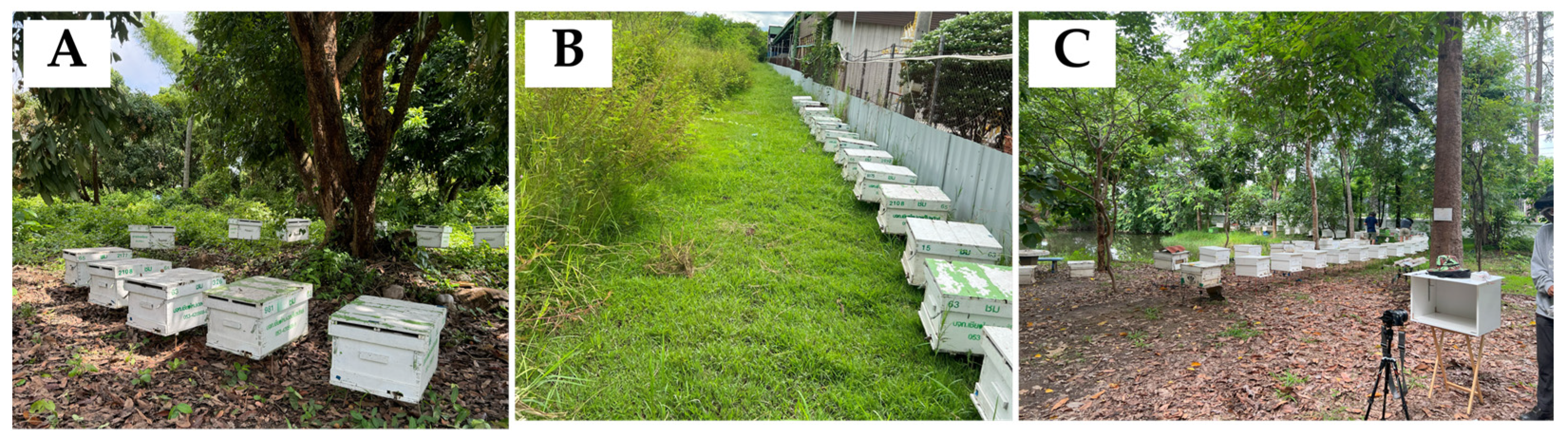 Insects 16 00575 g001