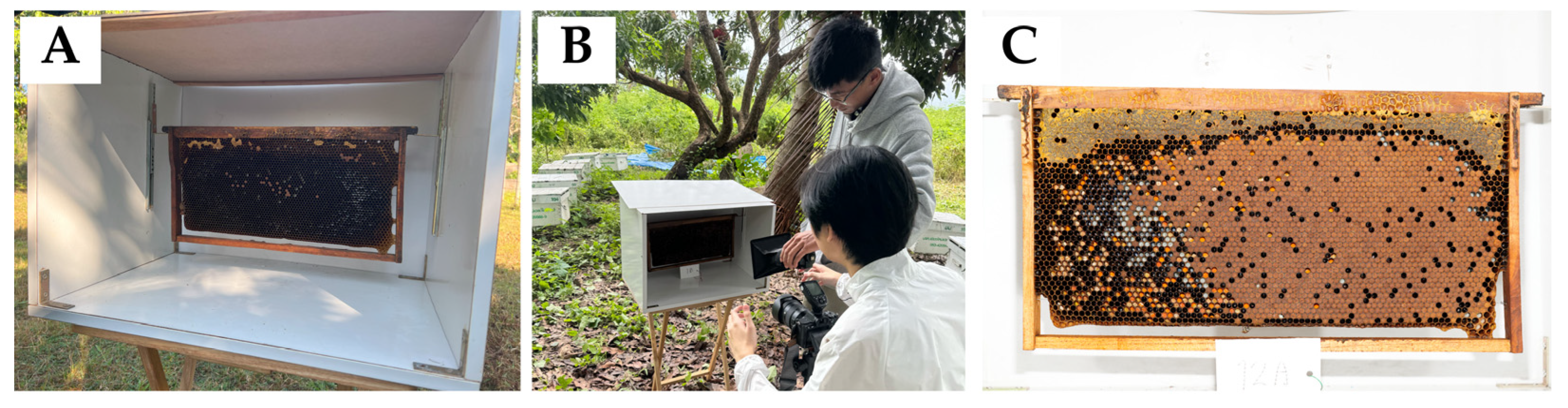 Insects 16 00575 g002