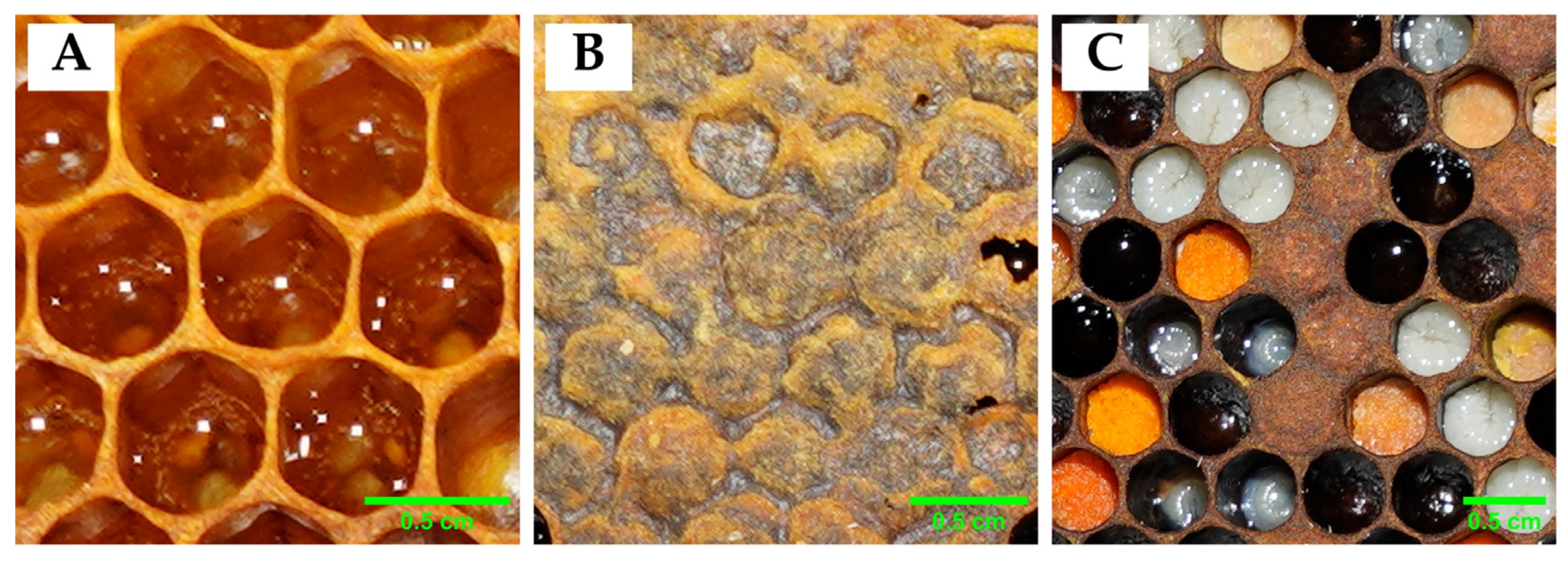 Insects 16 00575 g003