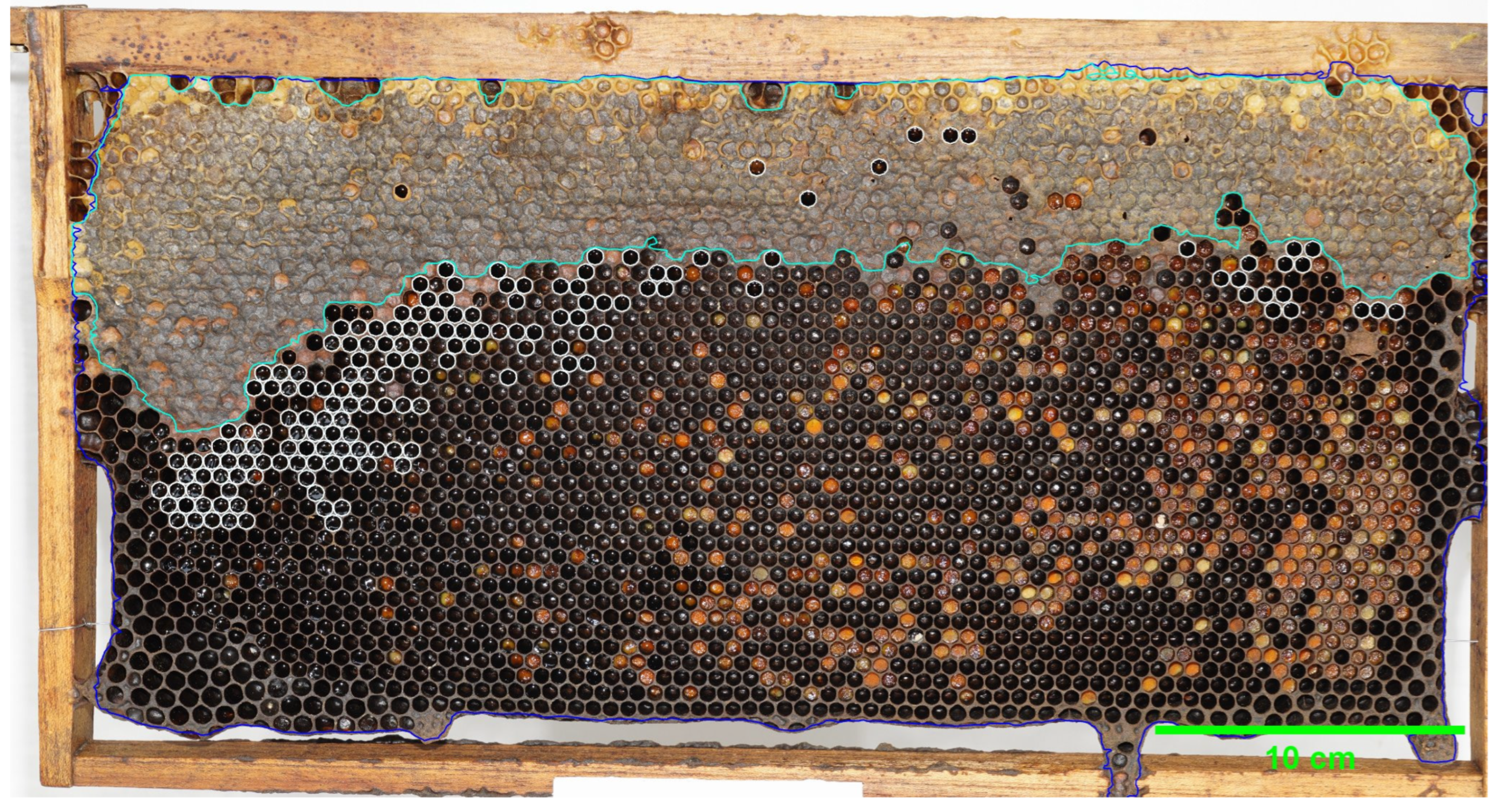 Insects 16 00575 g004