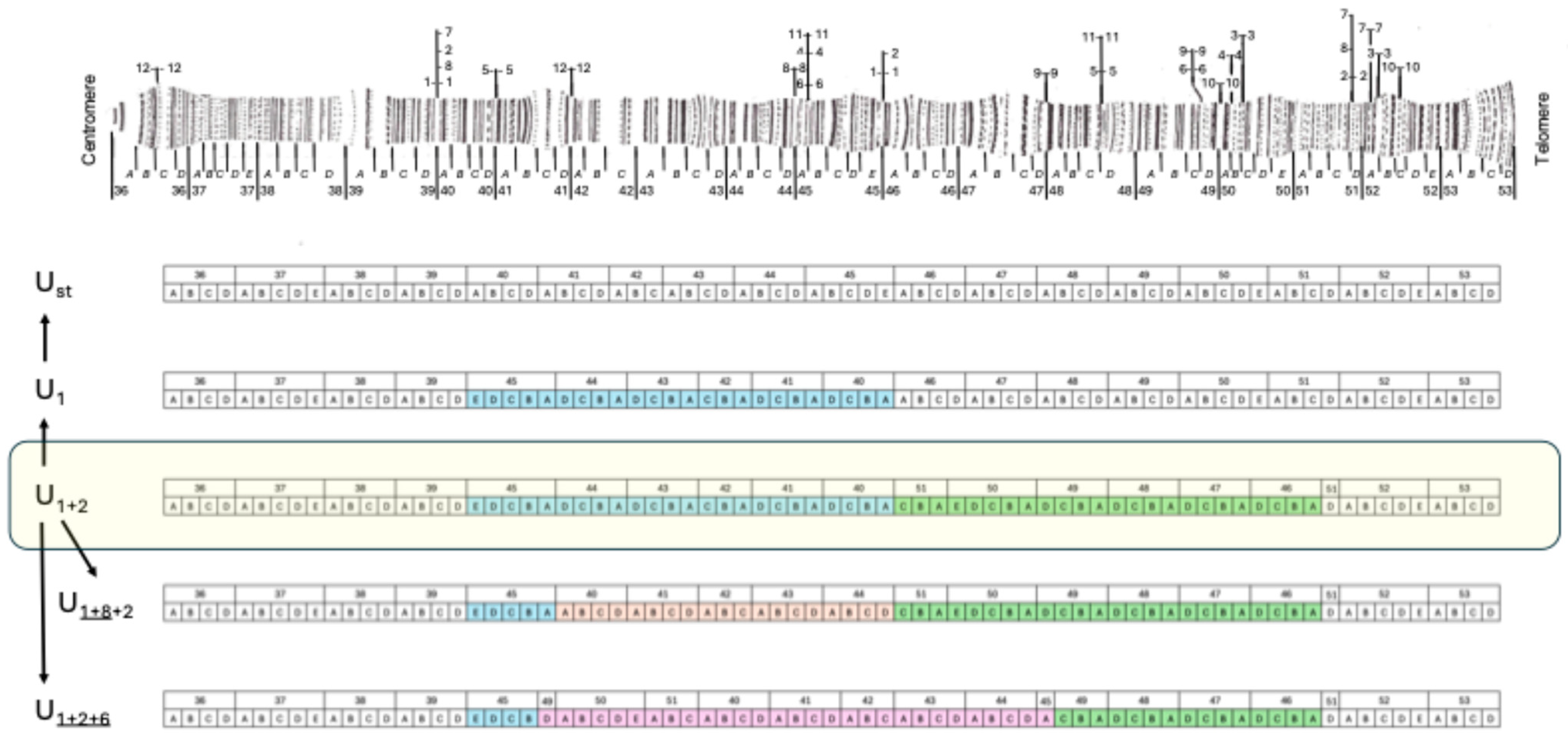Insects 16 00586 g001 Insects 16 00586 g001