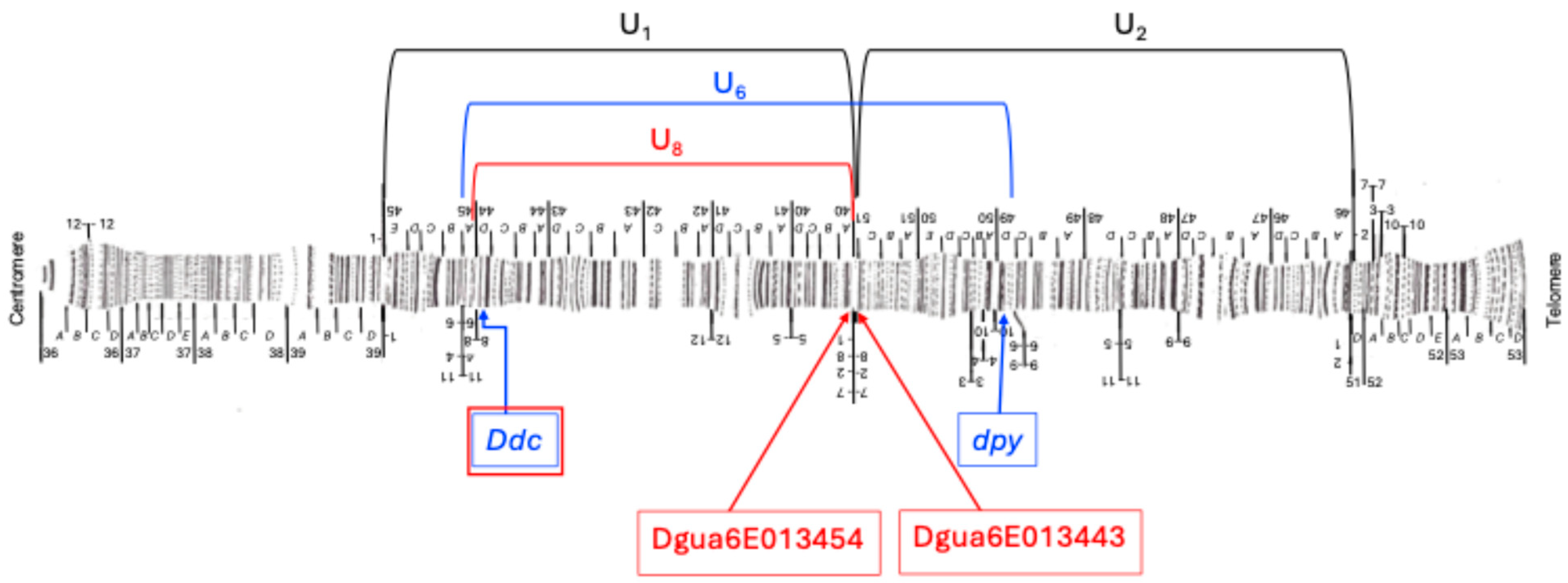 Insects 16 00586 g003 Insects 16 00586 g003