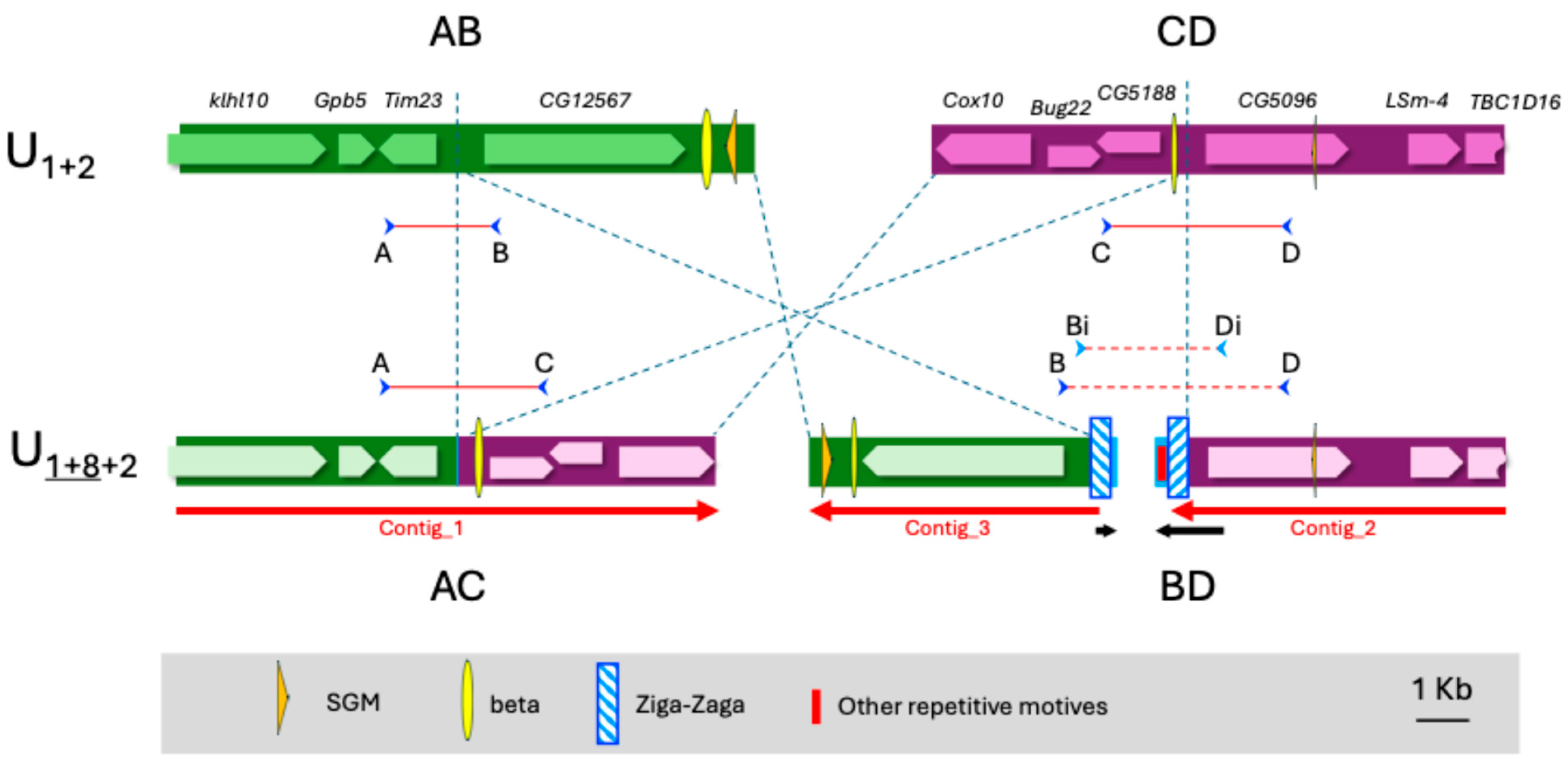 Insects 16 00586 g005 Insects 16 00586 g005